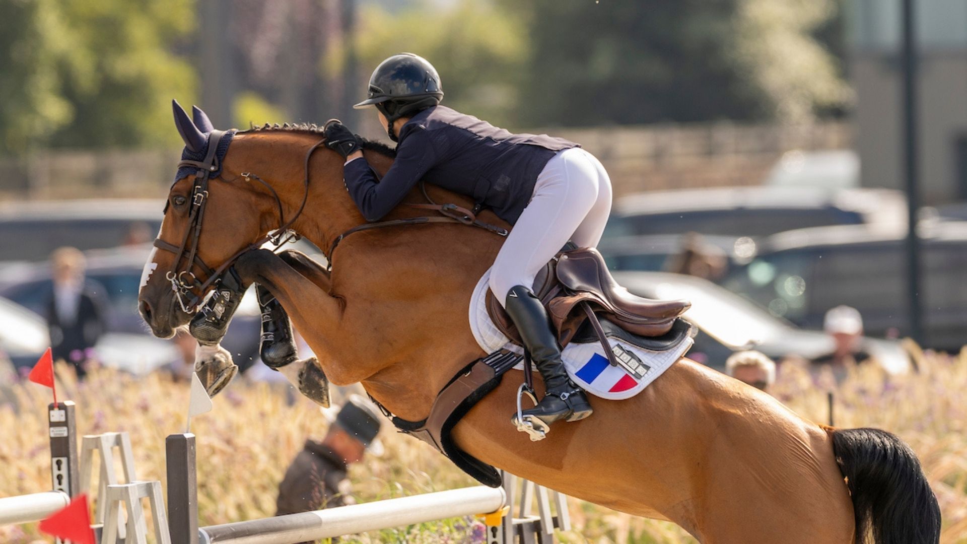 Eric Lamaze verliert Millionenklage