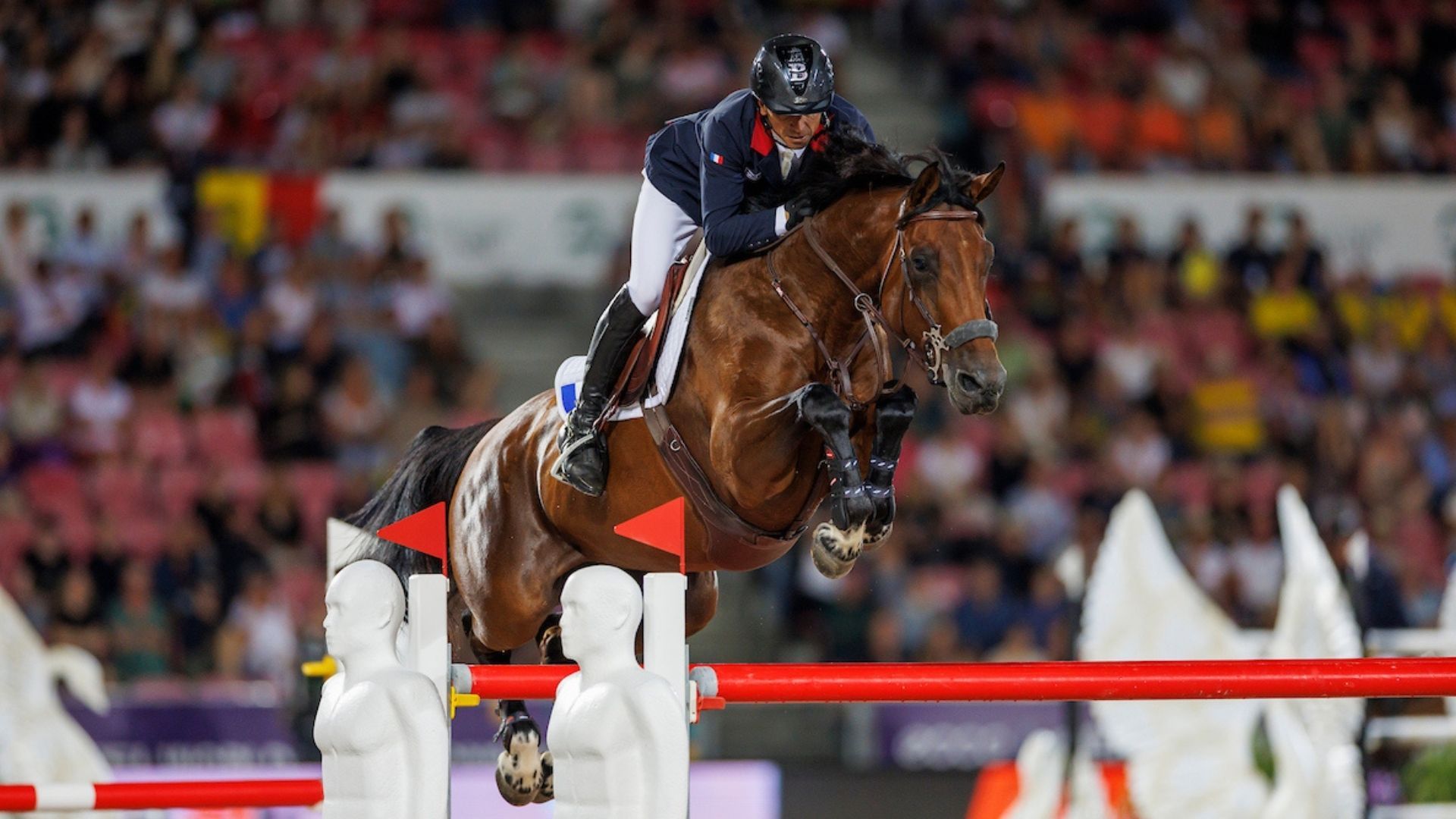 Flanders embryo collection promises fireworks again in Abu Dhabi