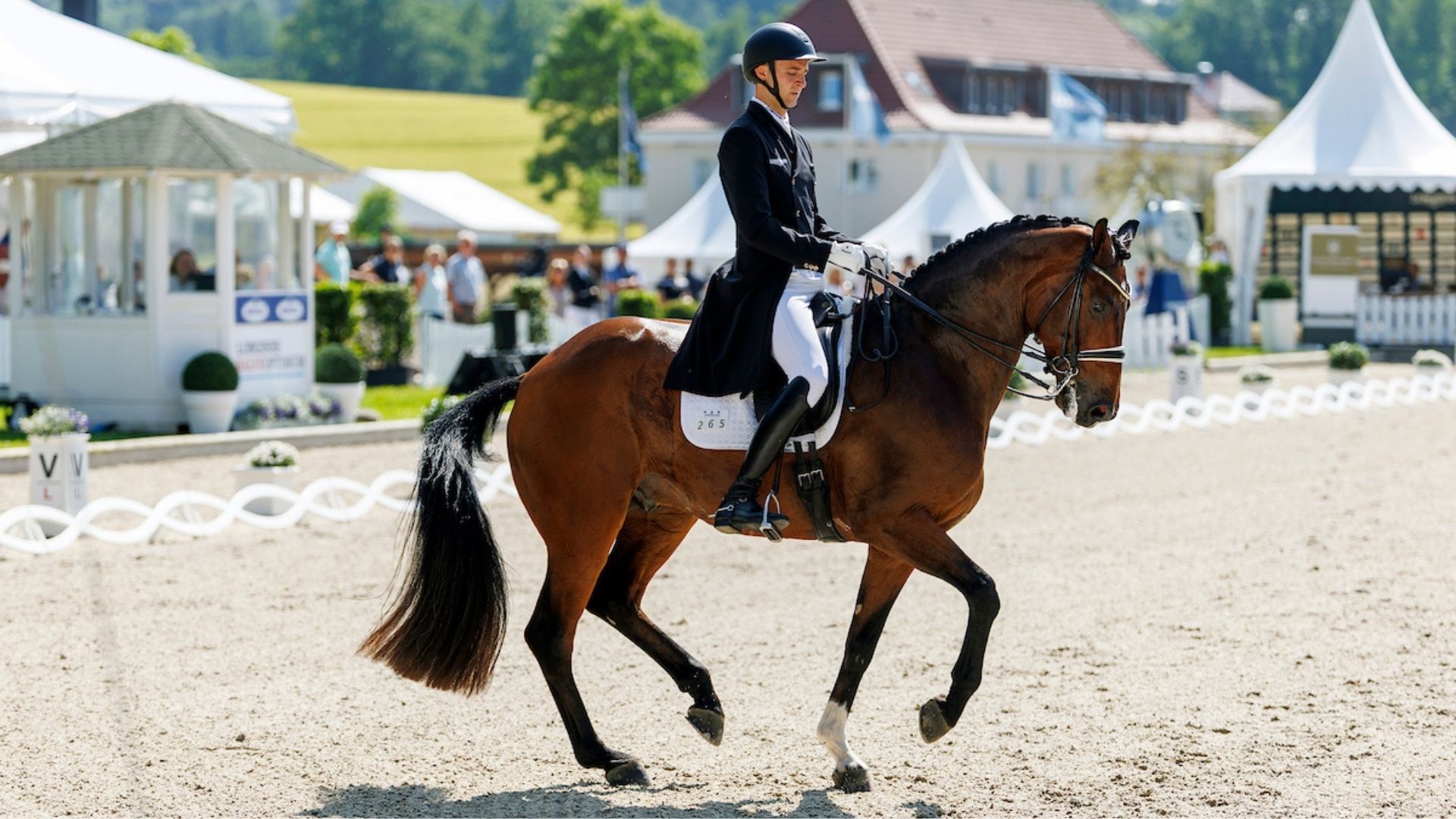 Sönke Rothenberger sagt mit Fendi Start beim CHIO Aachen ab