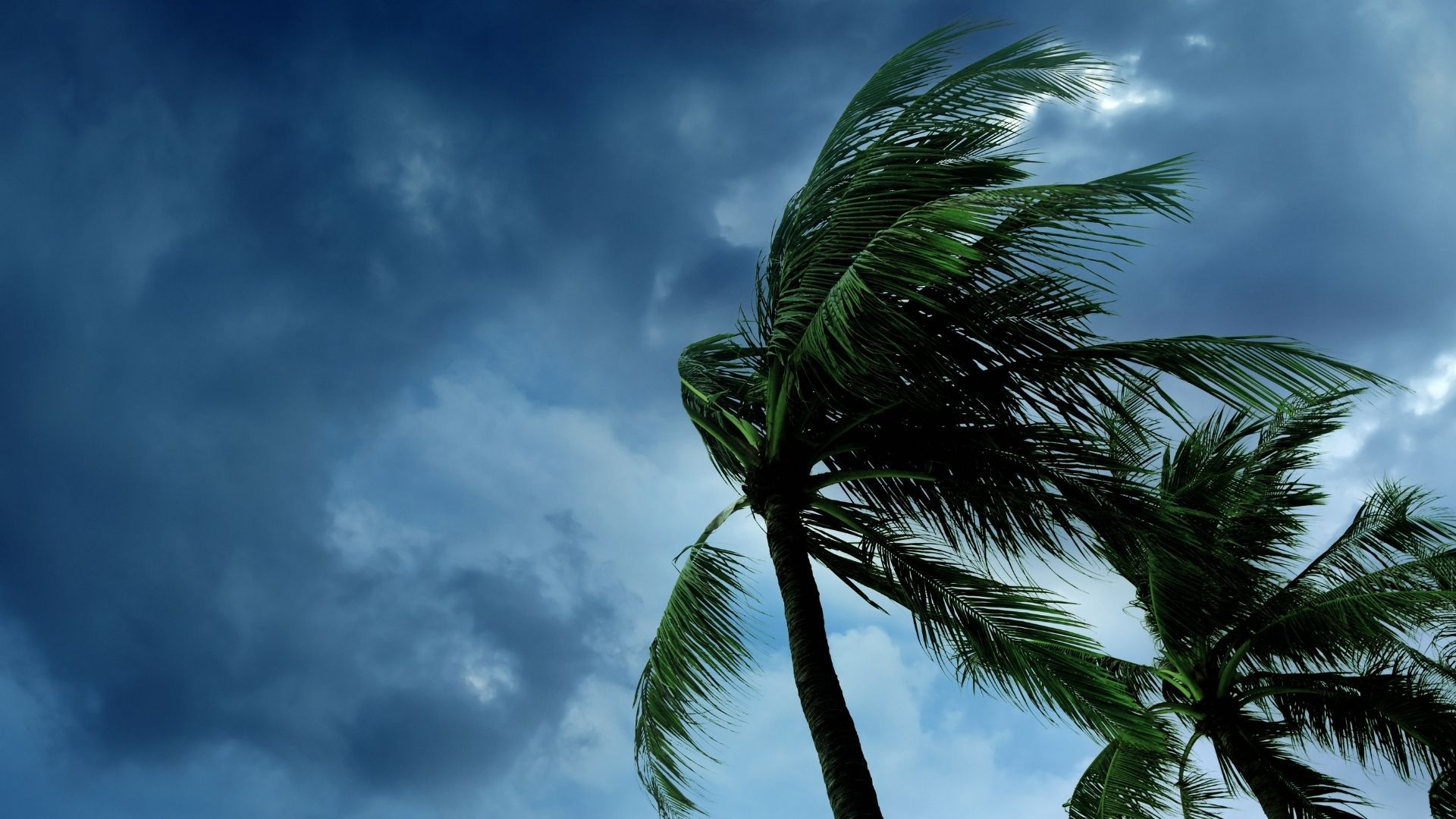 Starker Wind führt zu unerwartetem Ruhetag in Oliva