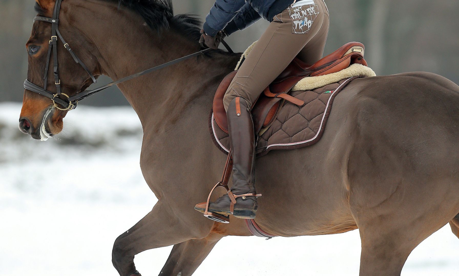 Equestrian Canada Pauses Award Amid Review of Concerns
