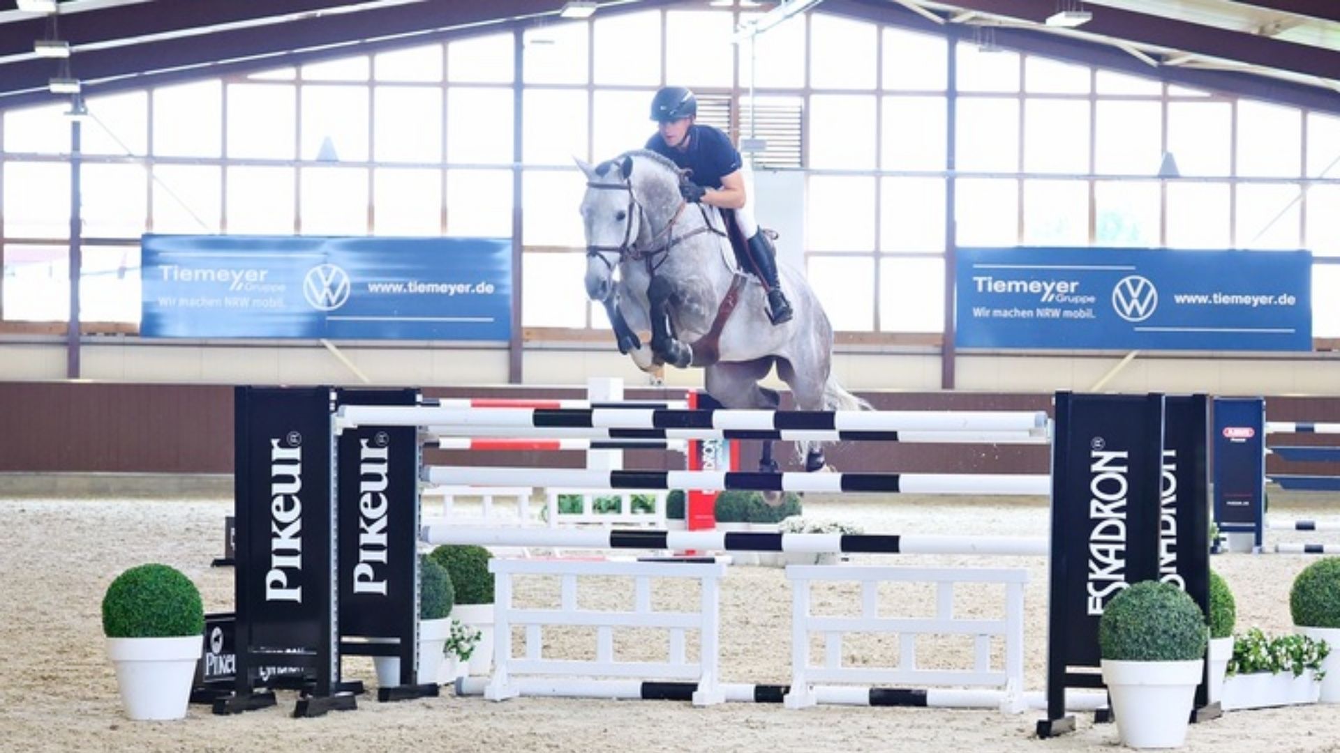 Springpferdeauktion von Holger Hetzel – „Golden Moments“ zum 20-jährigen Jubiläum