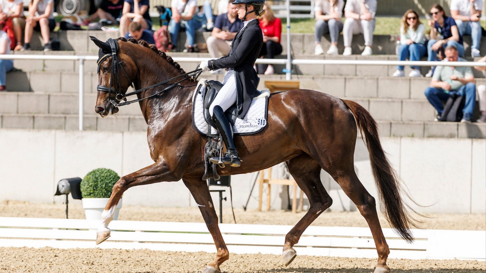 Aktuelles Finalfeld des Nürnberger Burg-Pokals steht fest