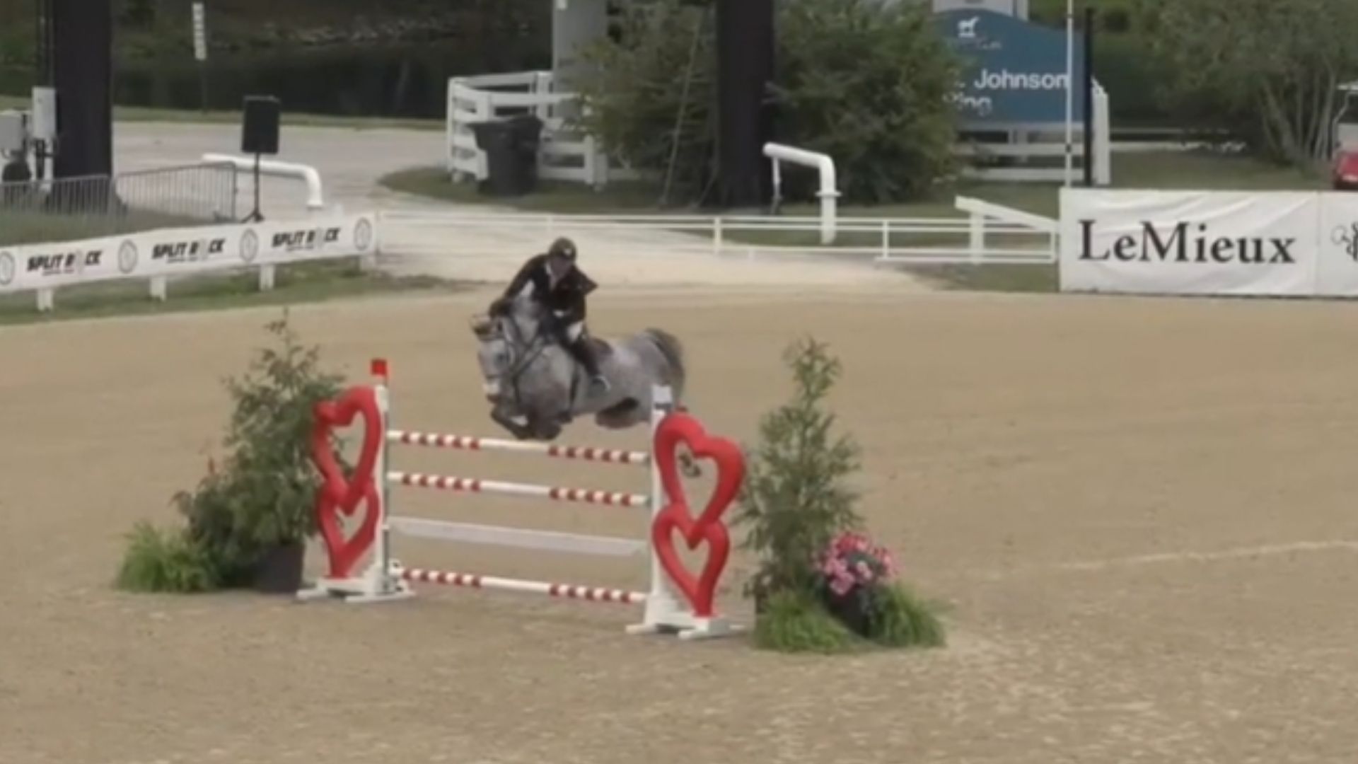 Charlie Jayne Has the Midas Touch in the Split Rock CSI3* Speed