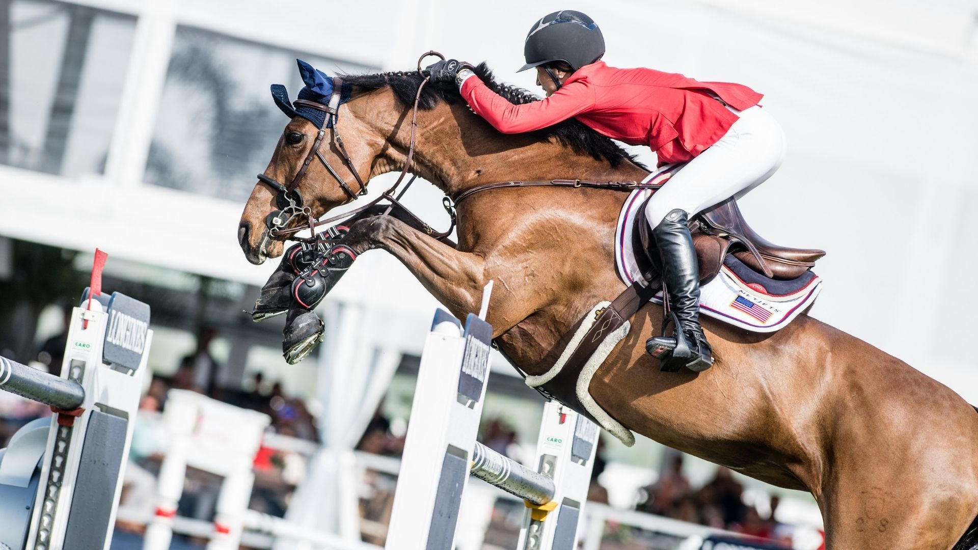 Jessica Springsteen and Nicola Philippaerts Are Expecting Their First Child