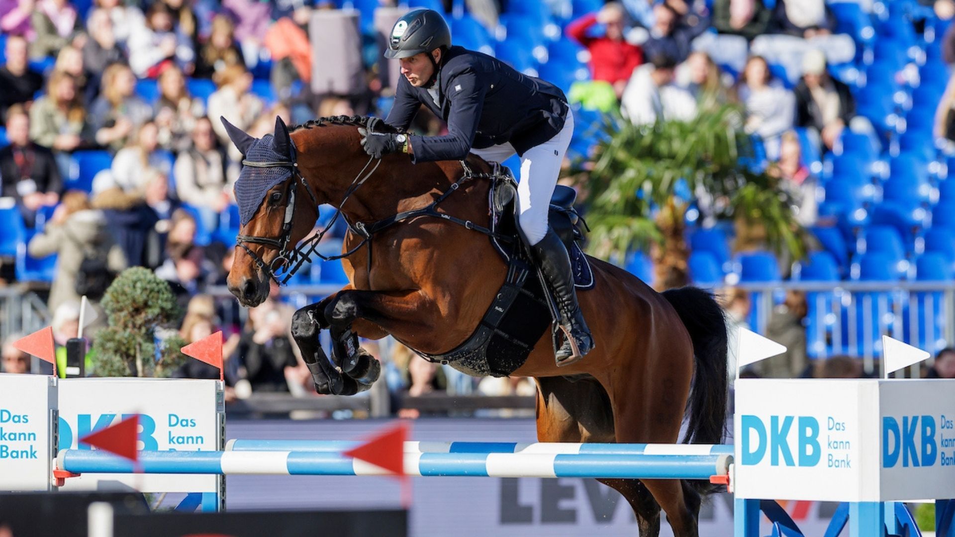Spitzenfeld steht fest: Diese Paare reiten im Rolex Grand Prix