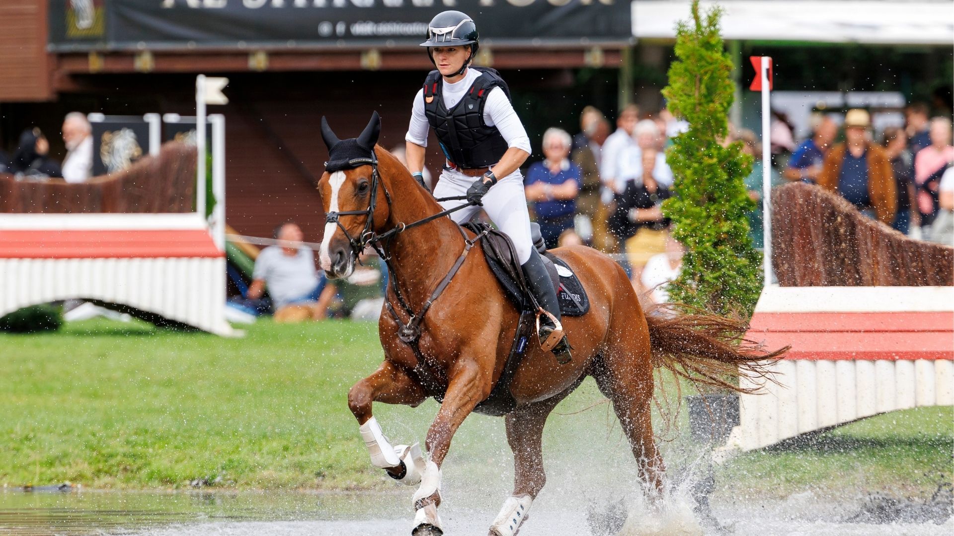 Hickstead Light GD siegt in der Finalqualifikation der 6-jährigen Vielseitigkeitspferde mit 9,0