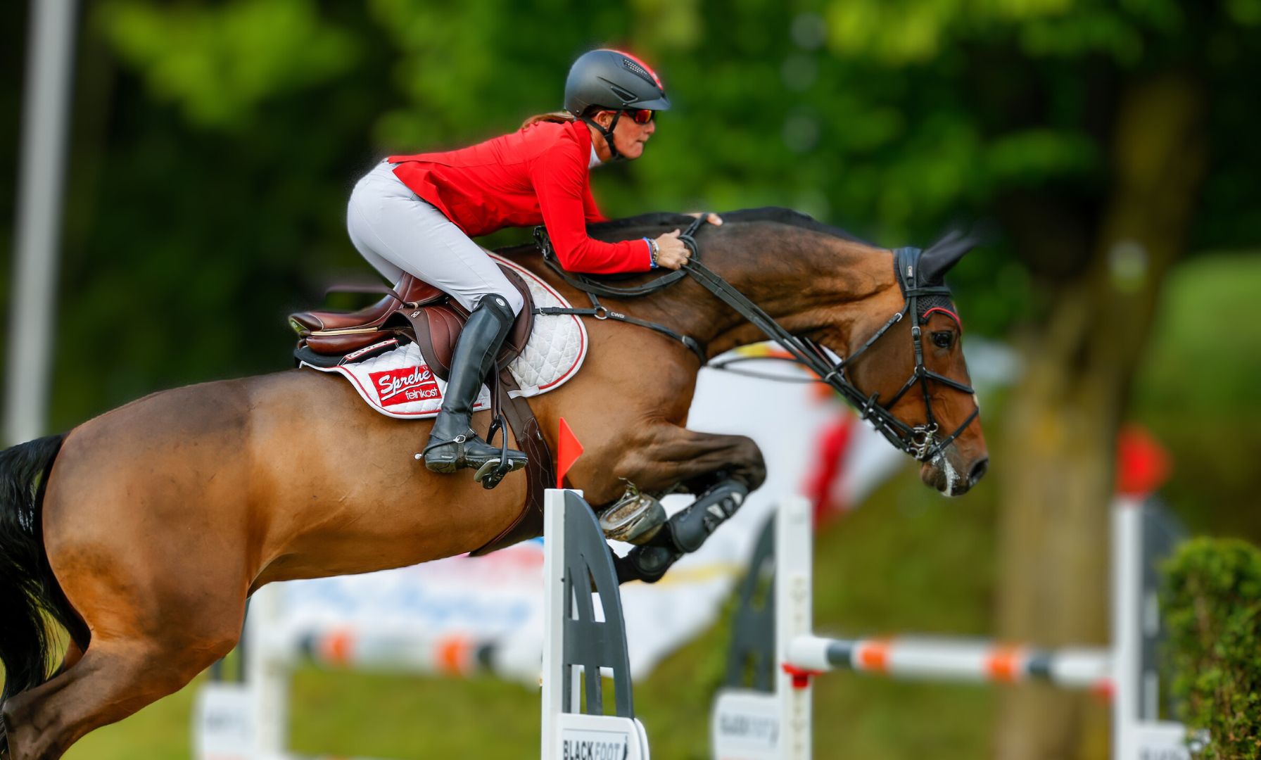 Experience Premier Equestrian Sport from Rancho Murieta