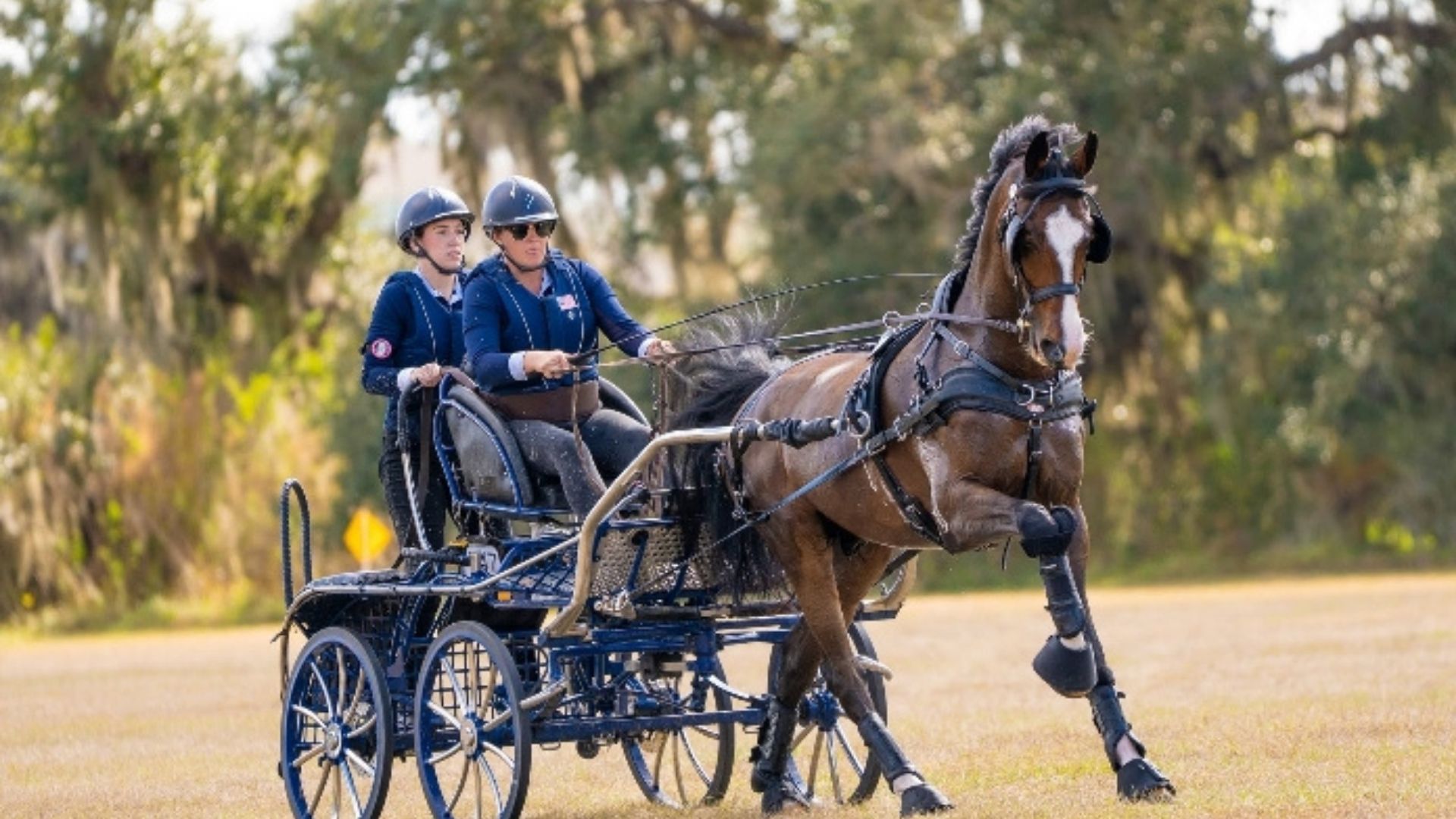 Taylor Bradish is a 3* Single Horse Division Winner at Combined Driving at TerraNova