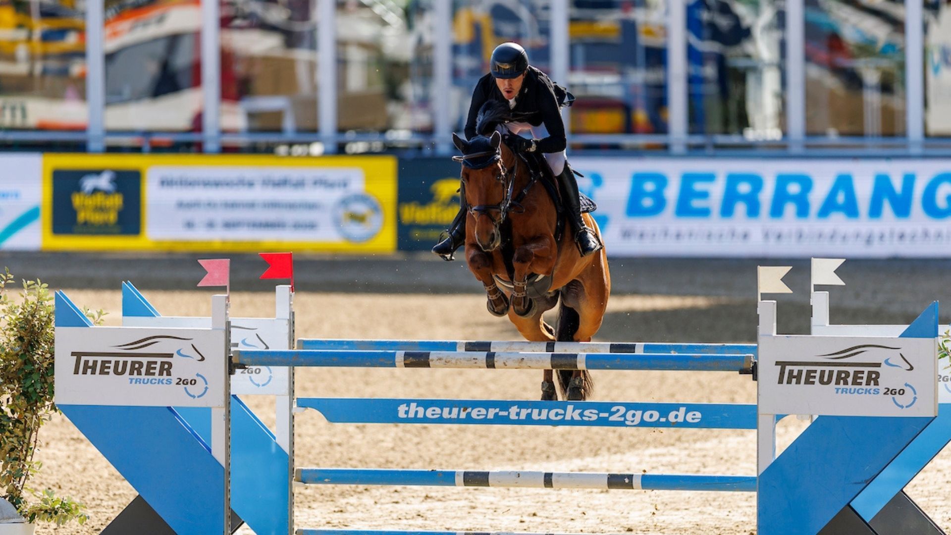 Springreiter Lukas Schwaiger übernimmt Gestüt Birkenhof