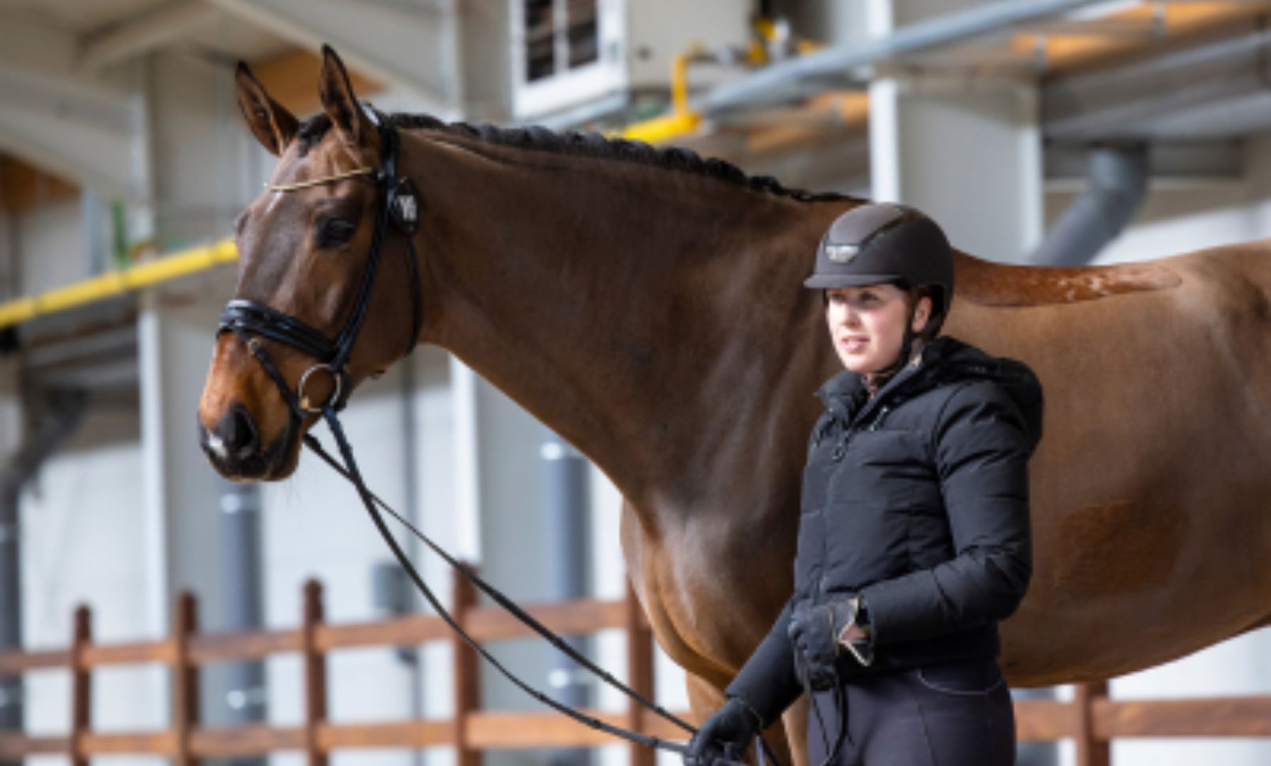 The Story of Jagerbomb