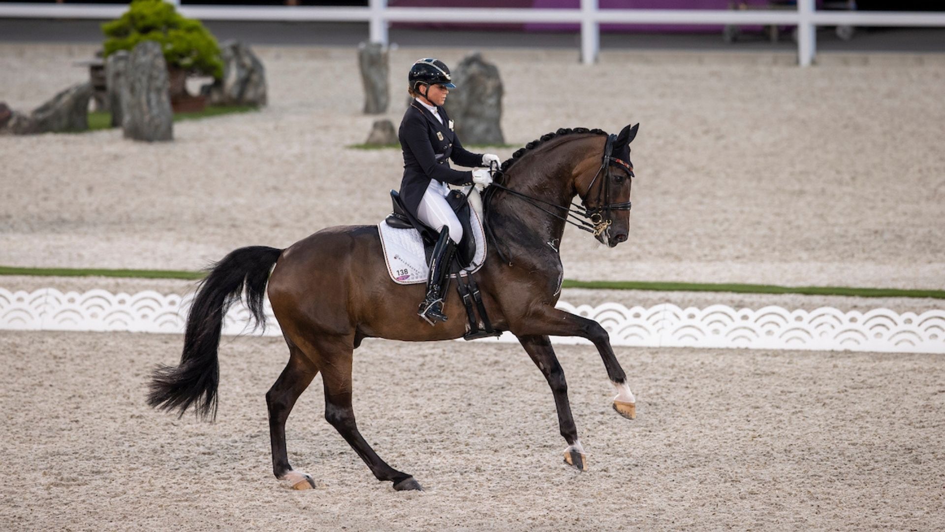 Privathengstschau in Verden am 07. Februar mit Dorothee Schneider
