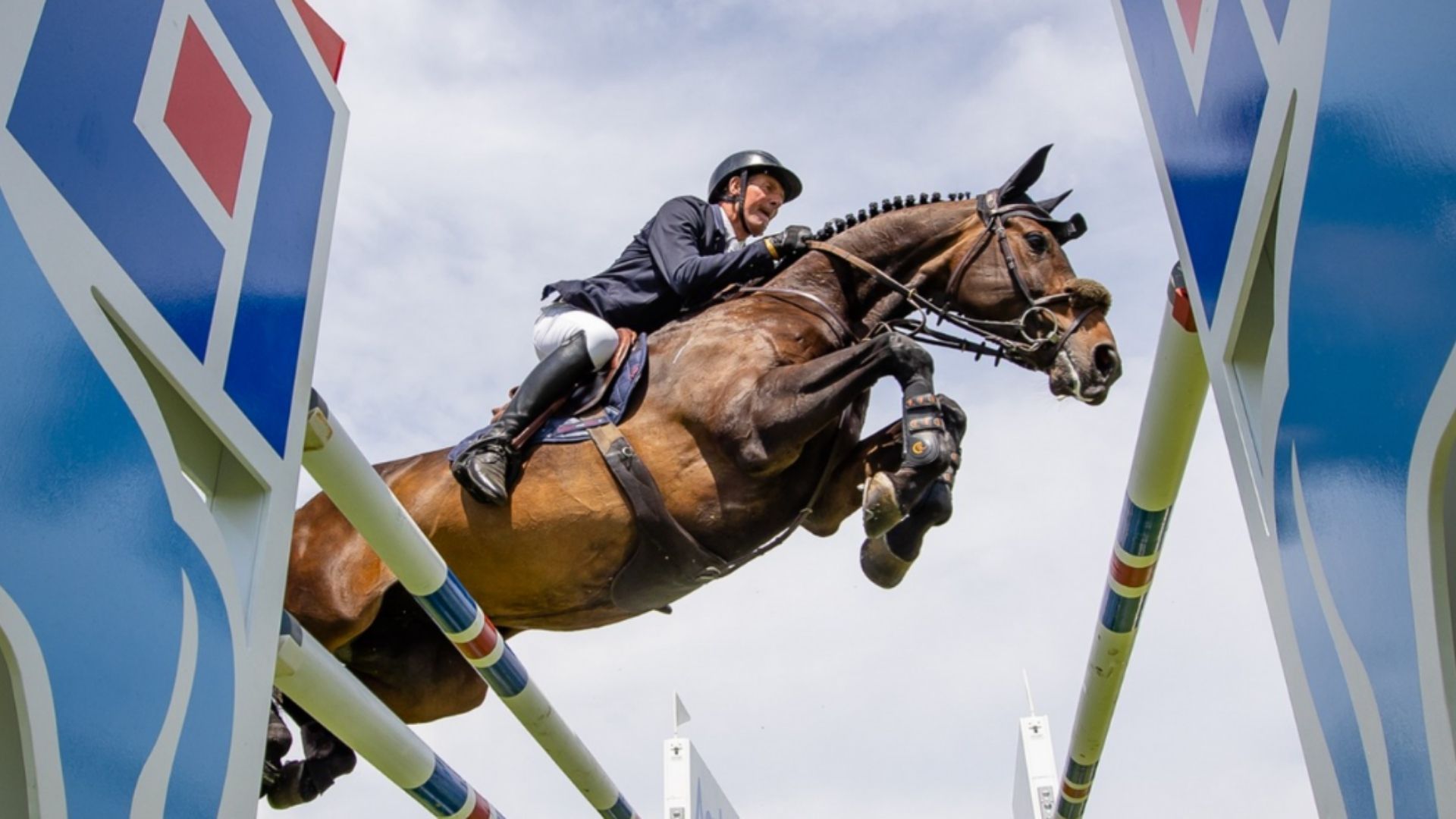 Die Agria Royal International Horse Show mit starkem (deutschem) Starterfeld