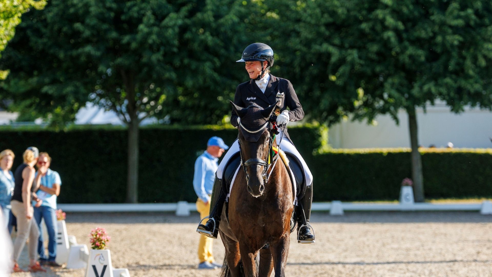 Die Wellington-Entführung