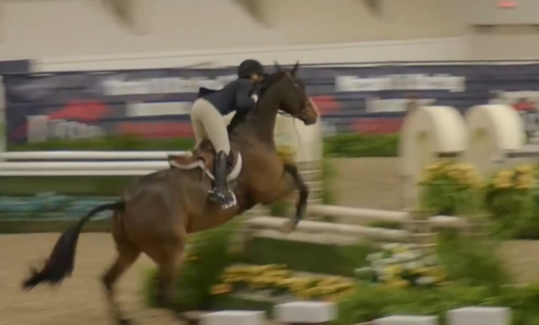Violet Tatum and Braavos Capture USHJA Junior Hunter 3'6" Championship