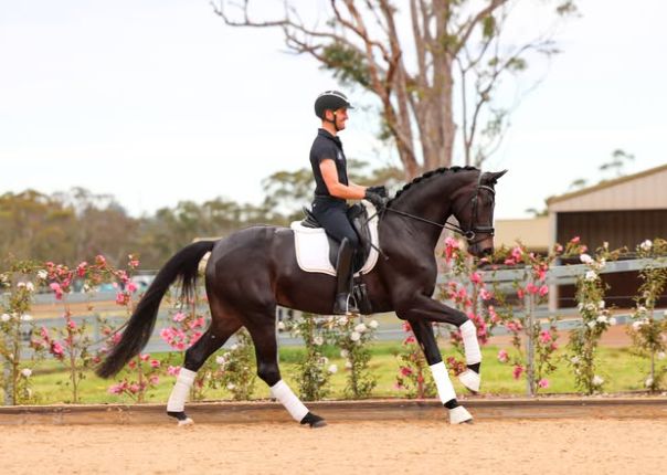 John Thompson and MSJ Gatsby Triumph at CDI-W Werribee