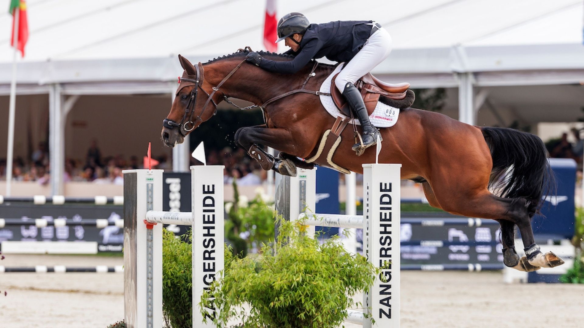 Katrin Eckermanns' Earl of Alice wechselt zu Tom Wachman