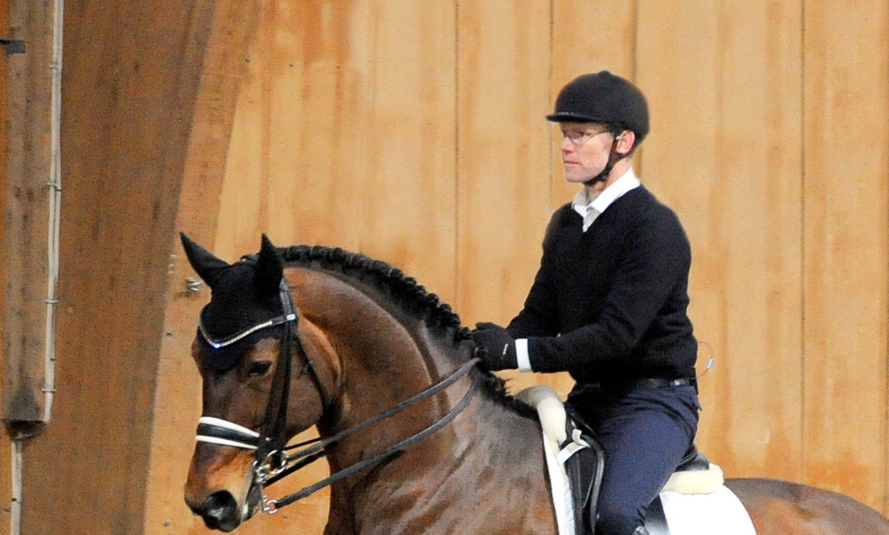 Fusion in der Reitsport-Medienlandschaft: St. Georg, Mein Pferd und Reiter Revue vor Zusammenschluss