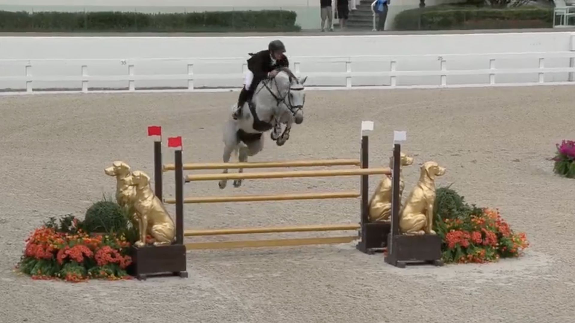 Richard Vogel und Cardentos gewinnen den $65,000 CSI2* Grand Prix in Ocala