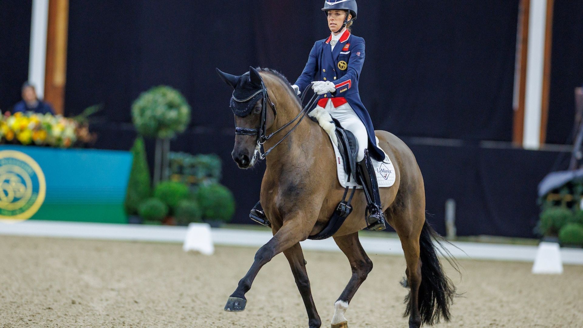 Charlotte Dujardin is back at the top of international dressage: CDI3* win in Le Mans