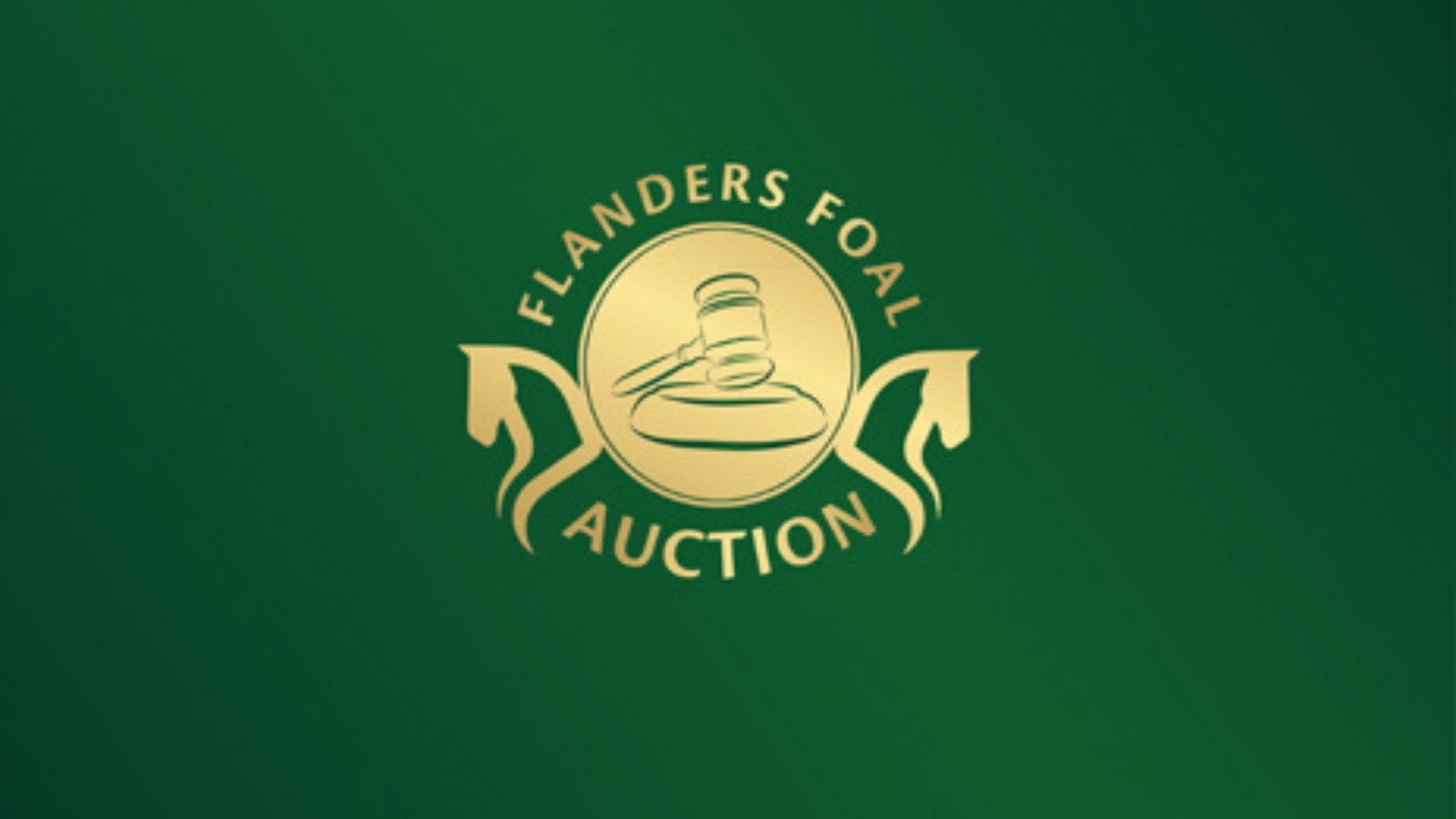 Flanders Embryo Auction erstmalig in Oliva,Spanien