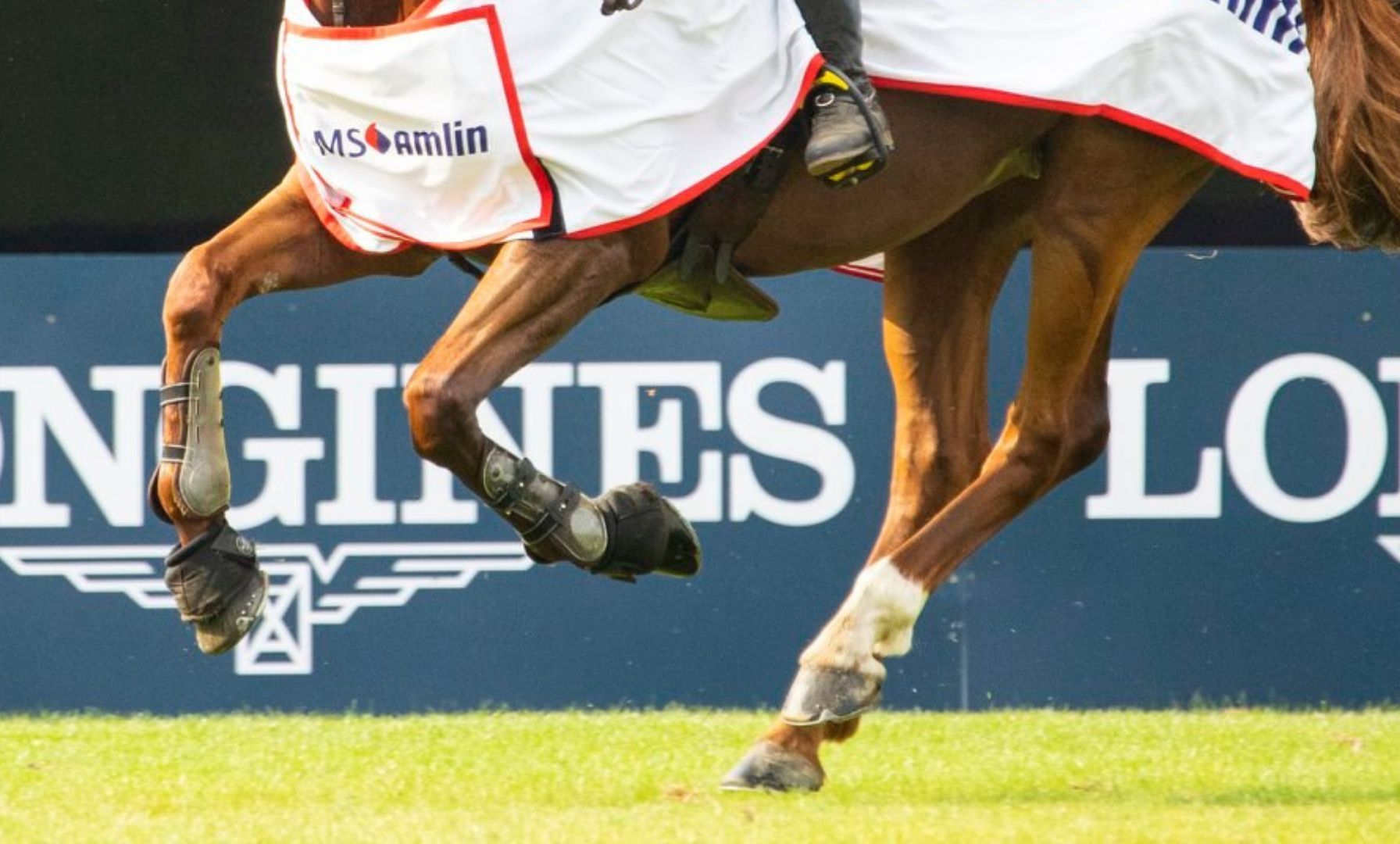 Irish Show Jumpers Achieve Success at Winter Equestrian Festival