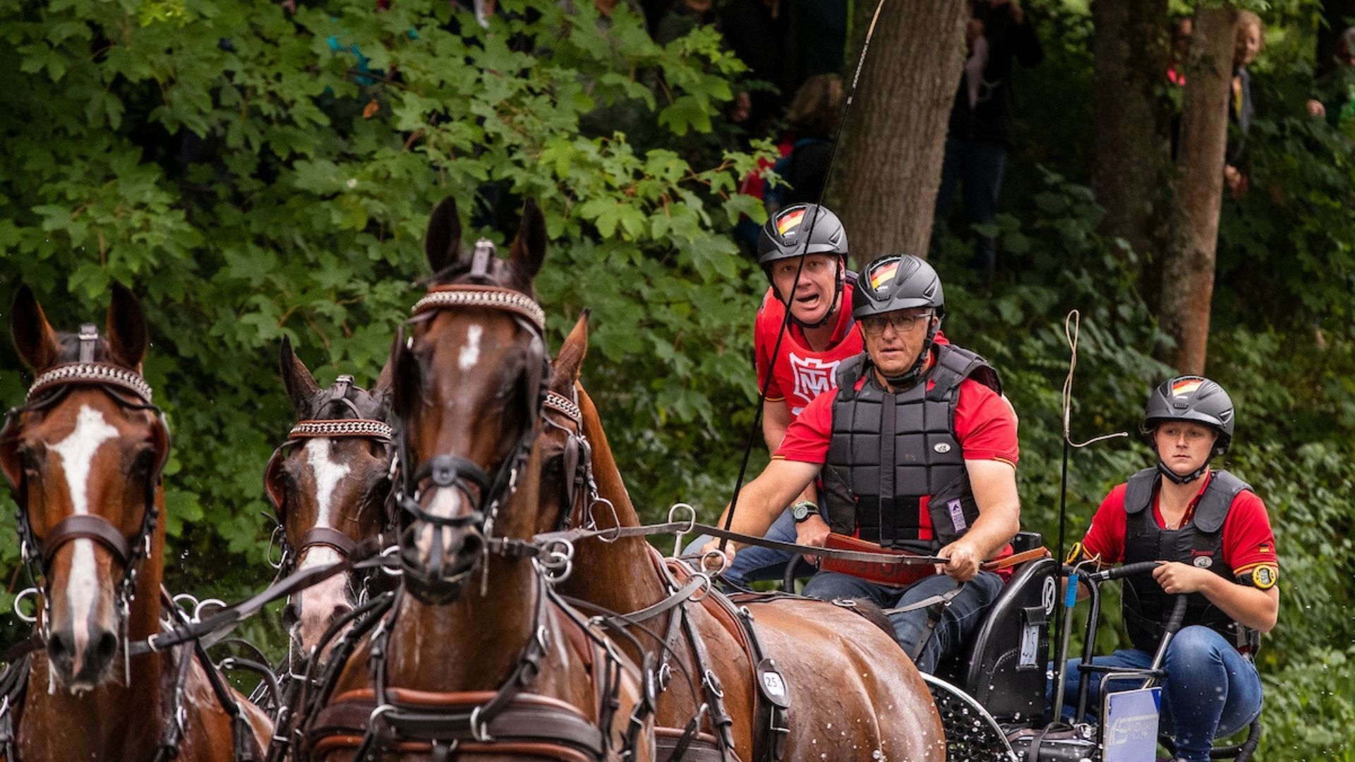 Christoph Sandmann gewinnt Vierspänner-Prüfung in Maastricht beim FEI Driving World Cup™