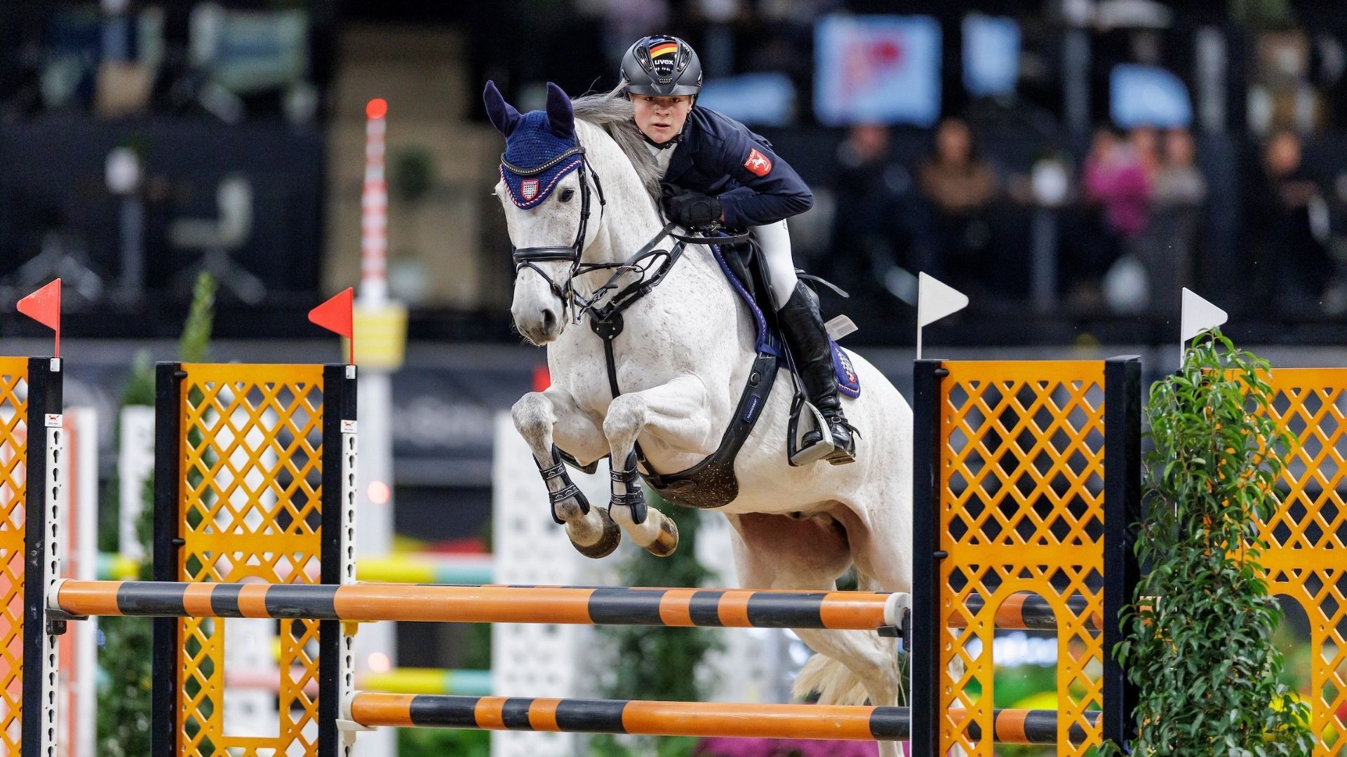 Sieg für den 16-jährigen Malte Merschformann mit Lightspot van het Maaskantje bei den Aachen Youngstars