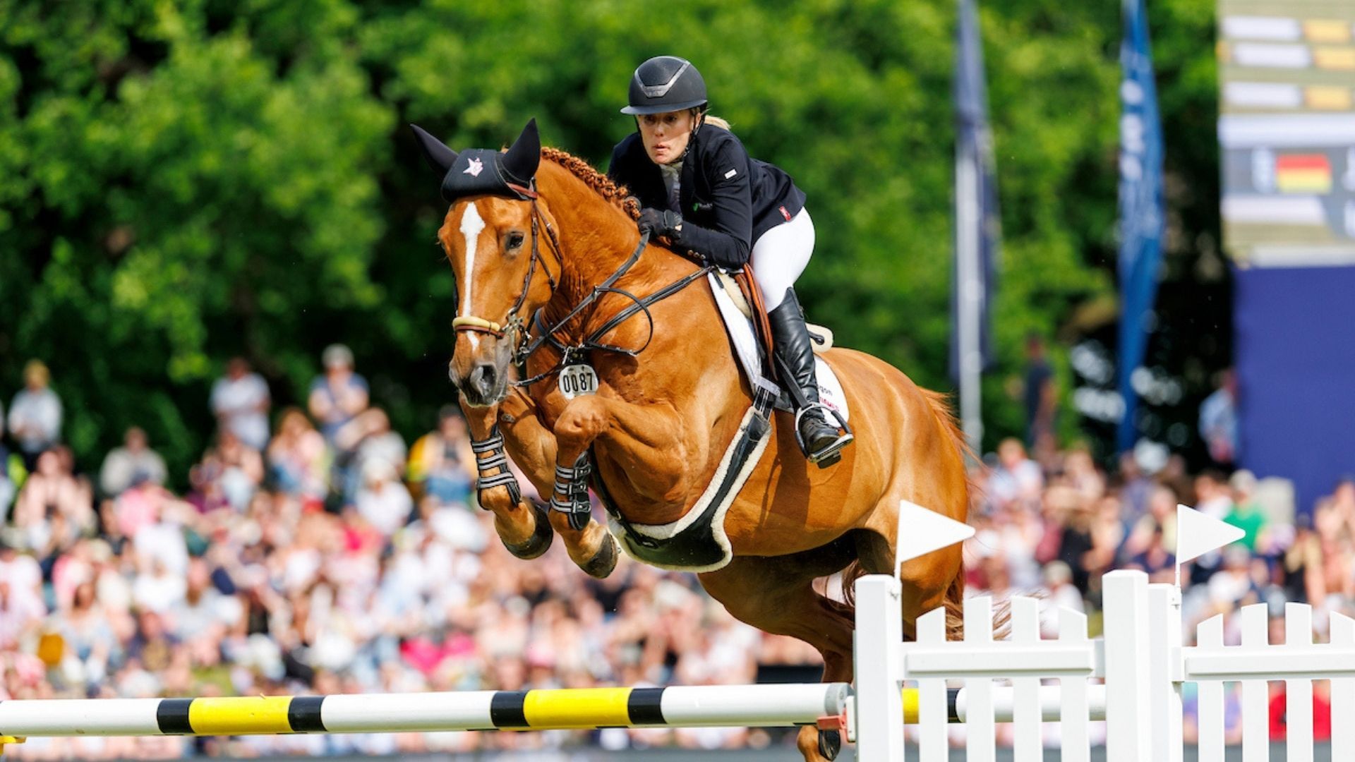 Dubai Du Cedre - Die 1,5 Mio Euro Grand Prix Gewinnerin unter neuem Namen 