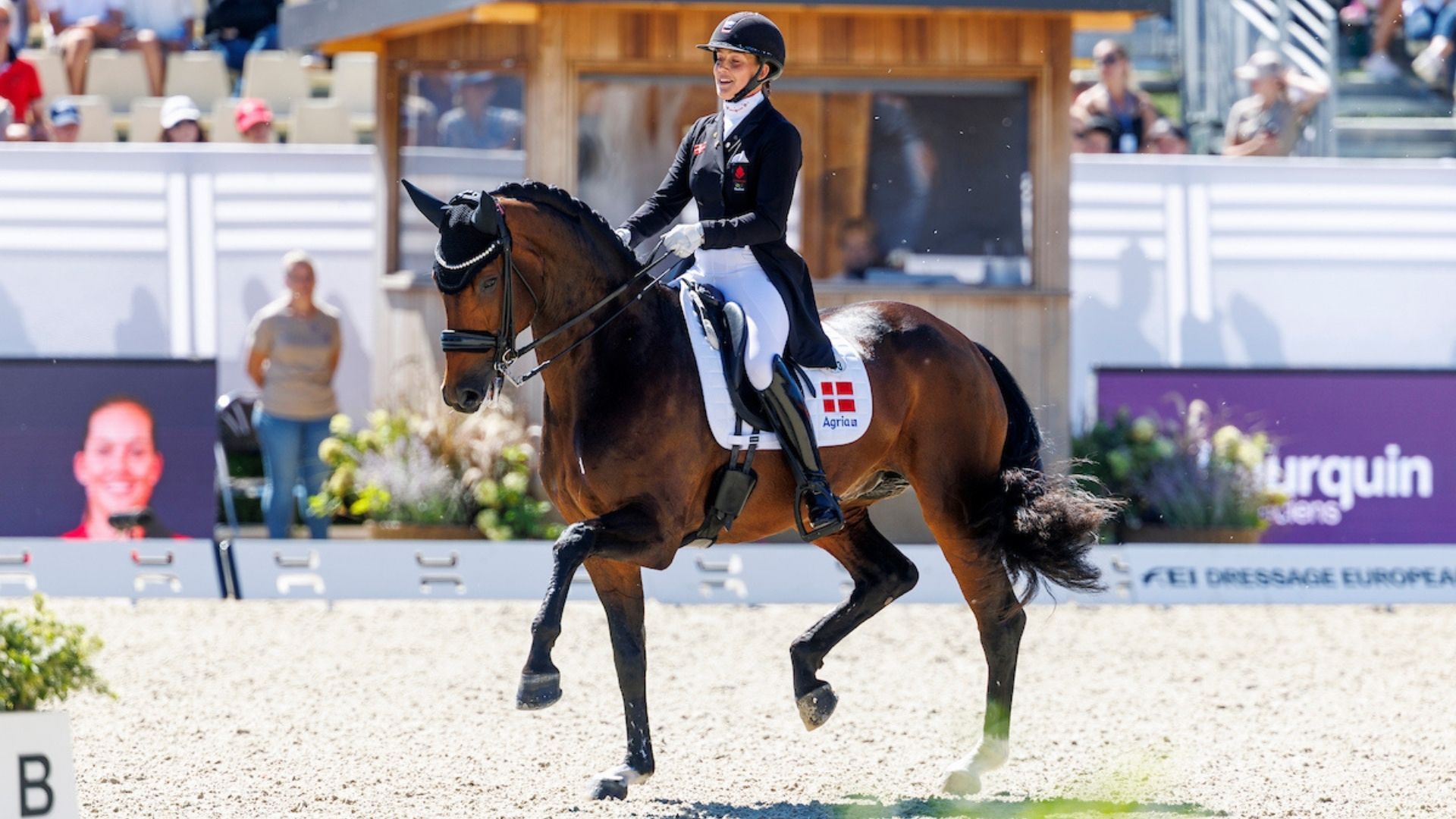 Longines WBFSH Breeder Awards 2025 in Amsterdam verliehen