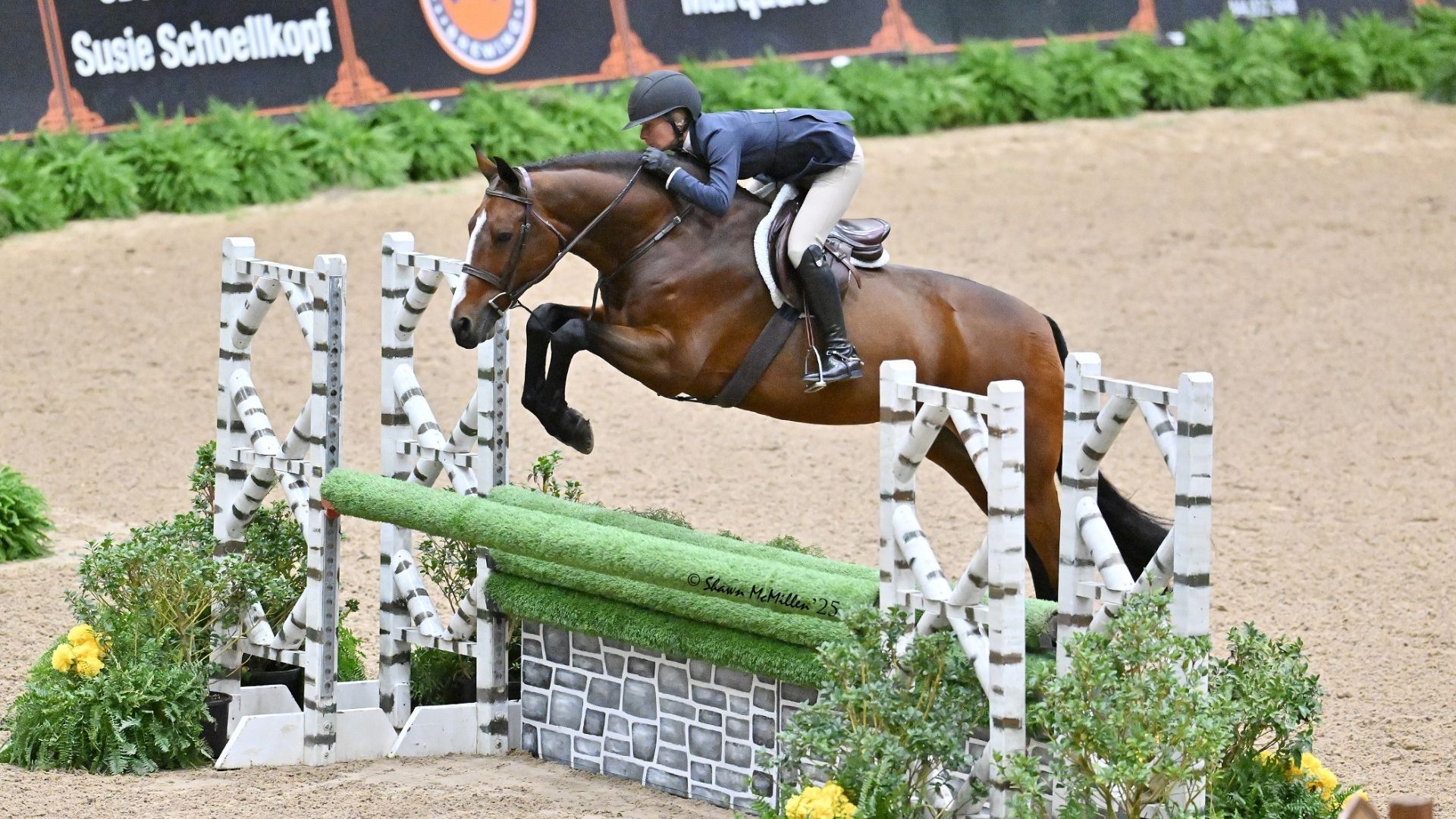 Professional Hunters step into the spotlight at national horse show