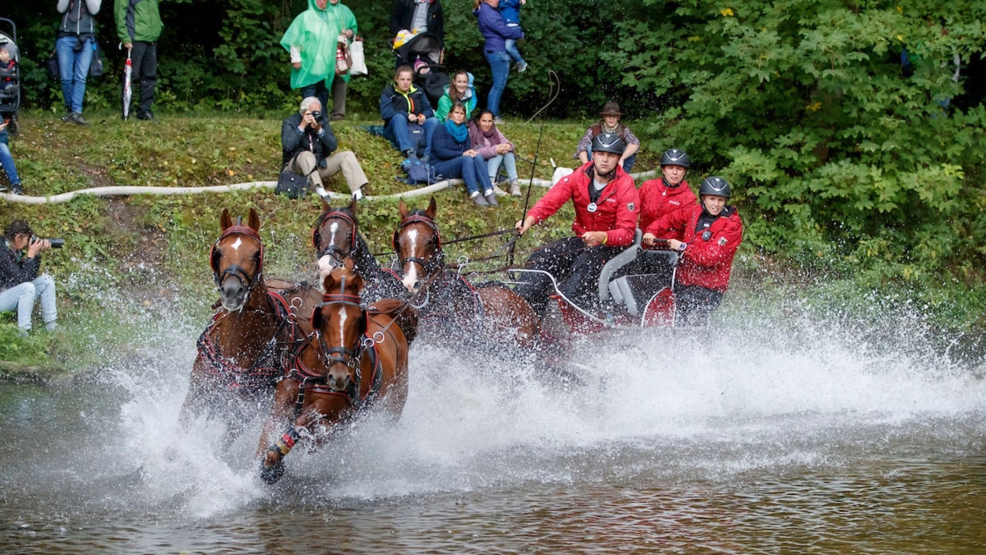 WM der Ponyfahrer 2025 in Le Pin au Haras
