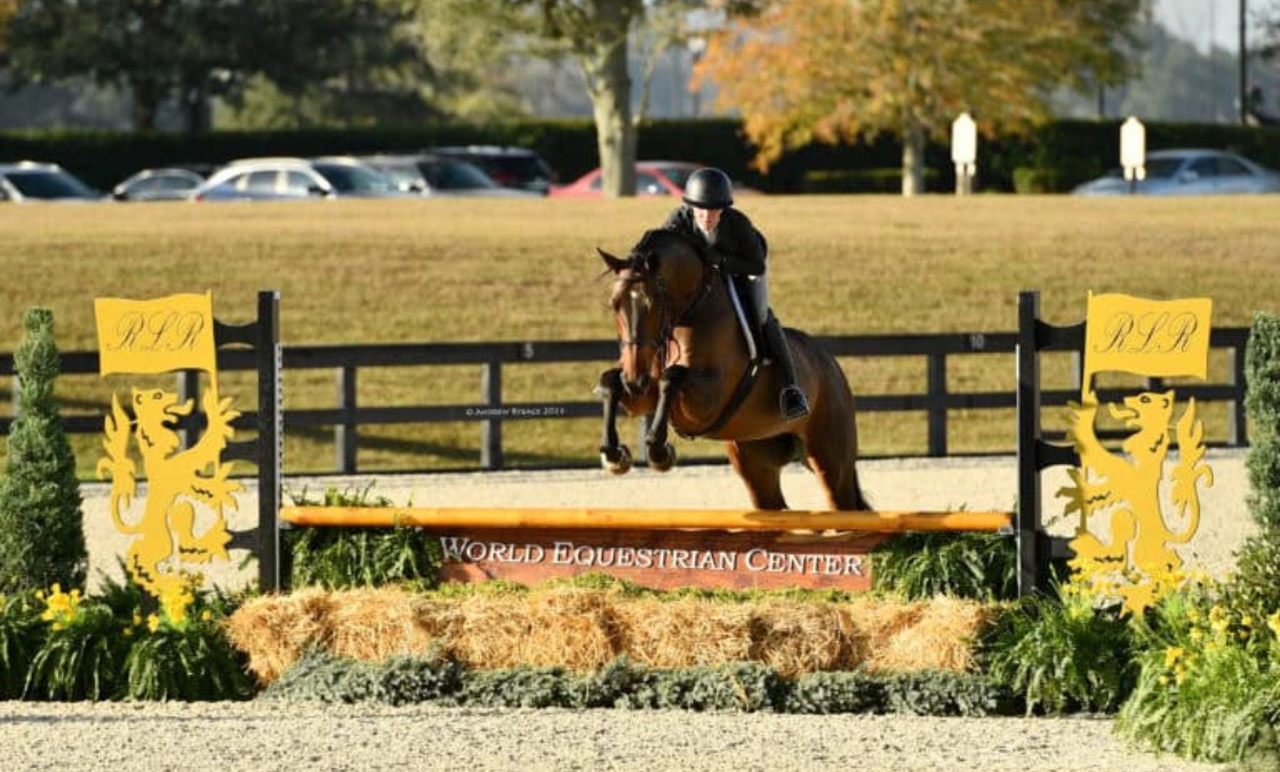 Jennifer Jones and Endgame Shine in $15,000 UF Veterinary Hospital USHJA National 3’ Open Hunter Derby