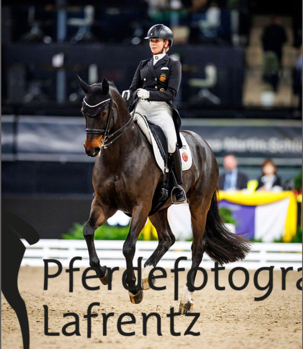 Viruses ruled out in sudden death of Diallo BB