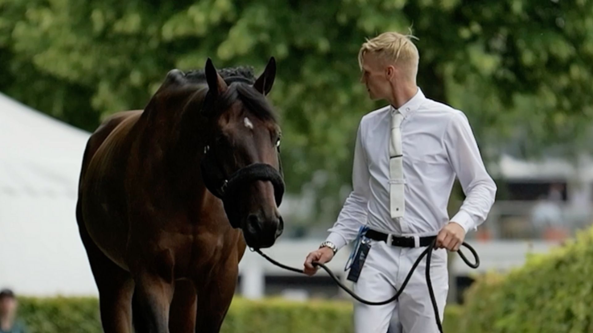 Zu Gast bei...Tom Schewe