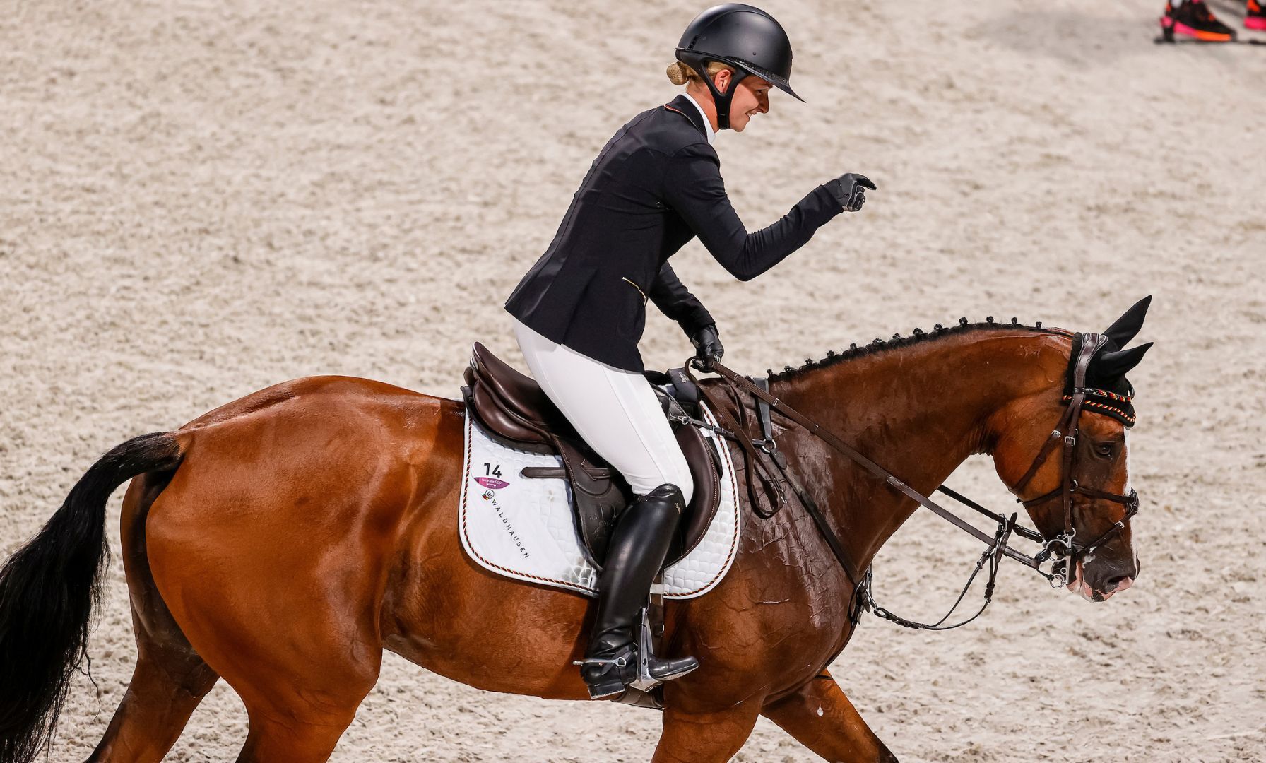 Olympiastute Amande de B'Neville bringt gesundes Hengstfohlen zur Welt