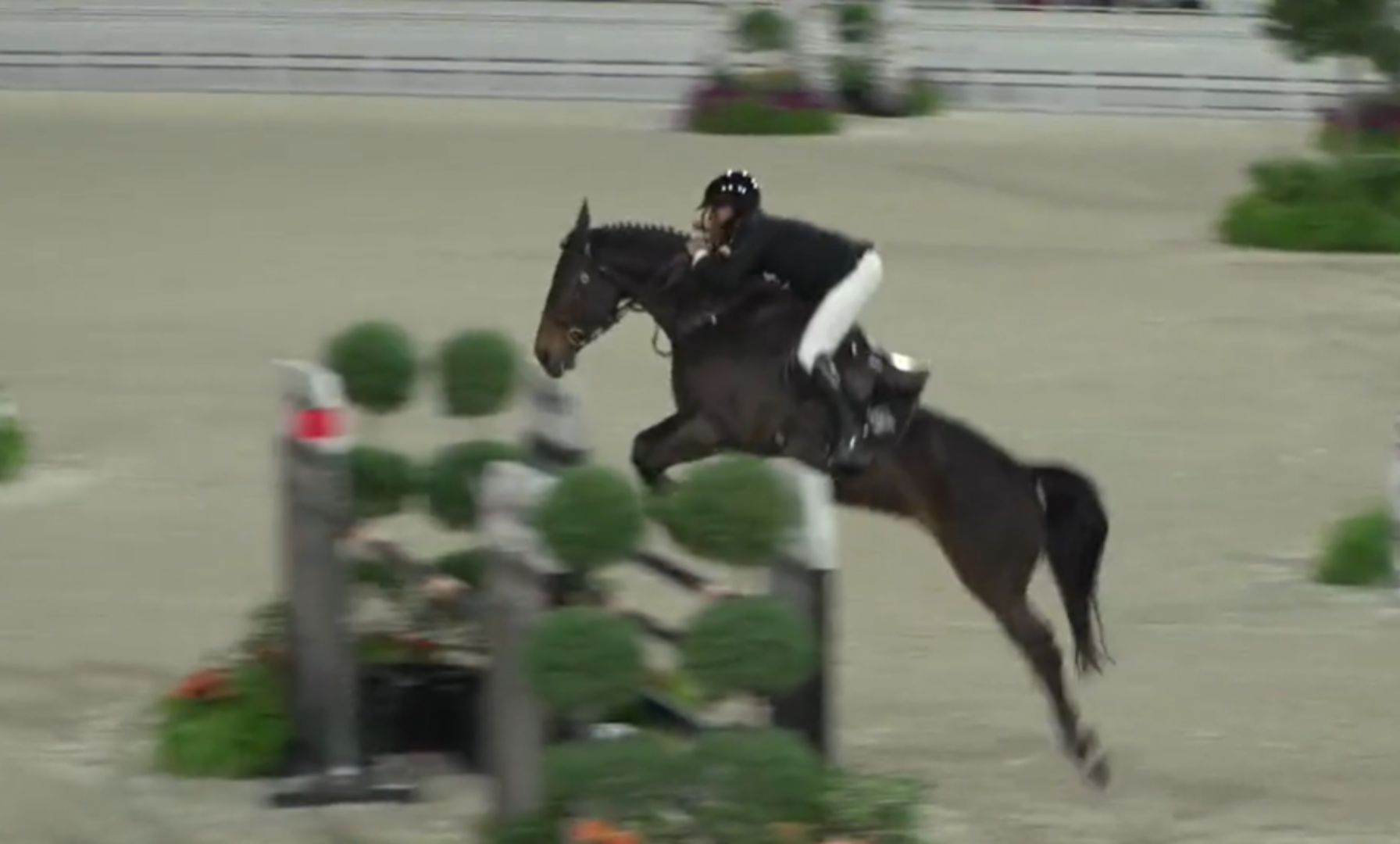 Sharn Wordley & Brin D’or De Haute Melen Z Secure the Win in the $75,000 The Fix Grand Prix