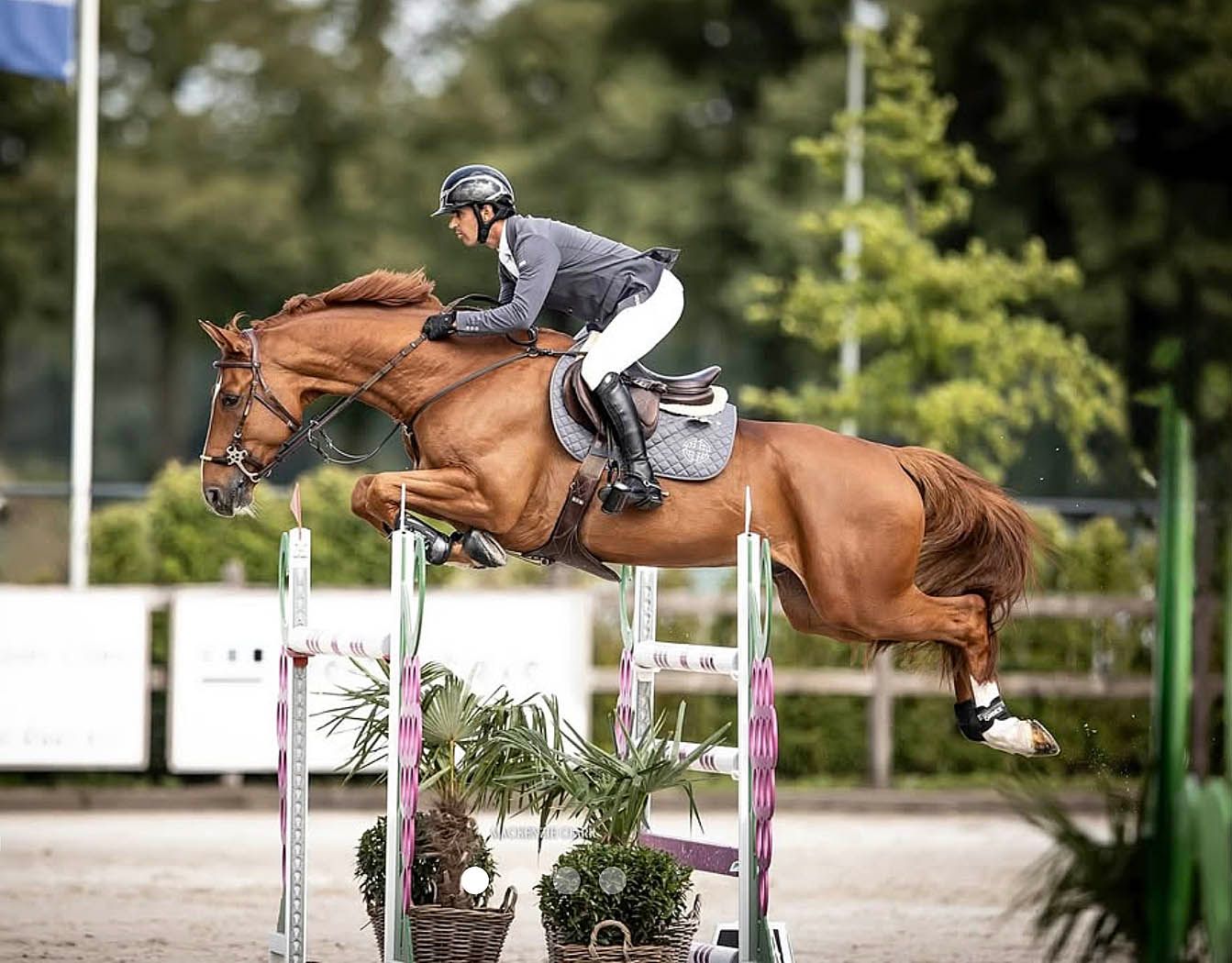 Sharn Wordley & Brin D’or De Haute Melen Z Secure the Win in the $75,000 The Fix Grand Prix