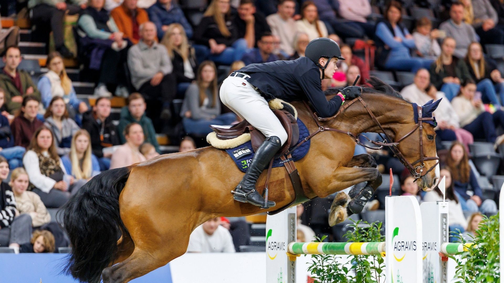 Max Paschertz gewinnt Großen Preis der Aachener Bank eG bei den Aachen Youngstars