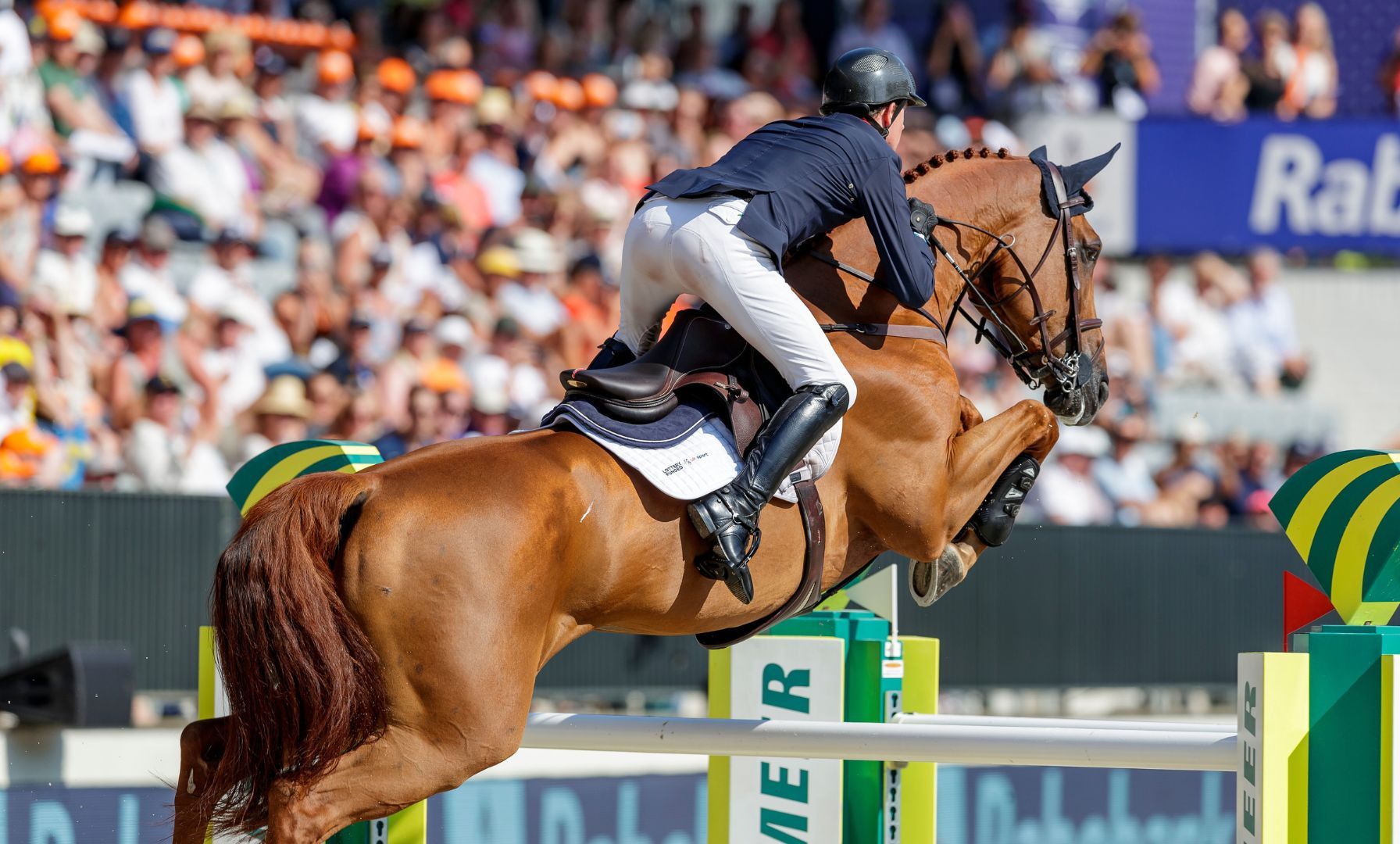 Blutregel im Springsport erneut in der Kritik – FEI diskutiert mögliche Reform