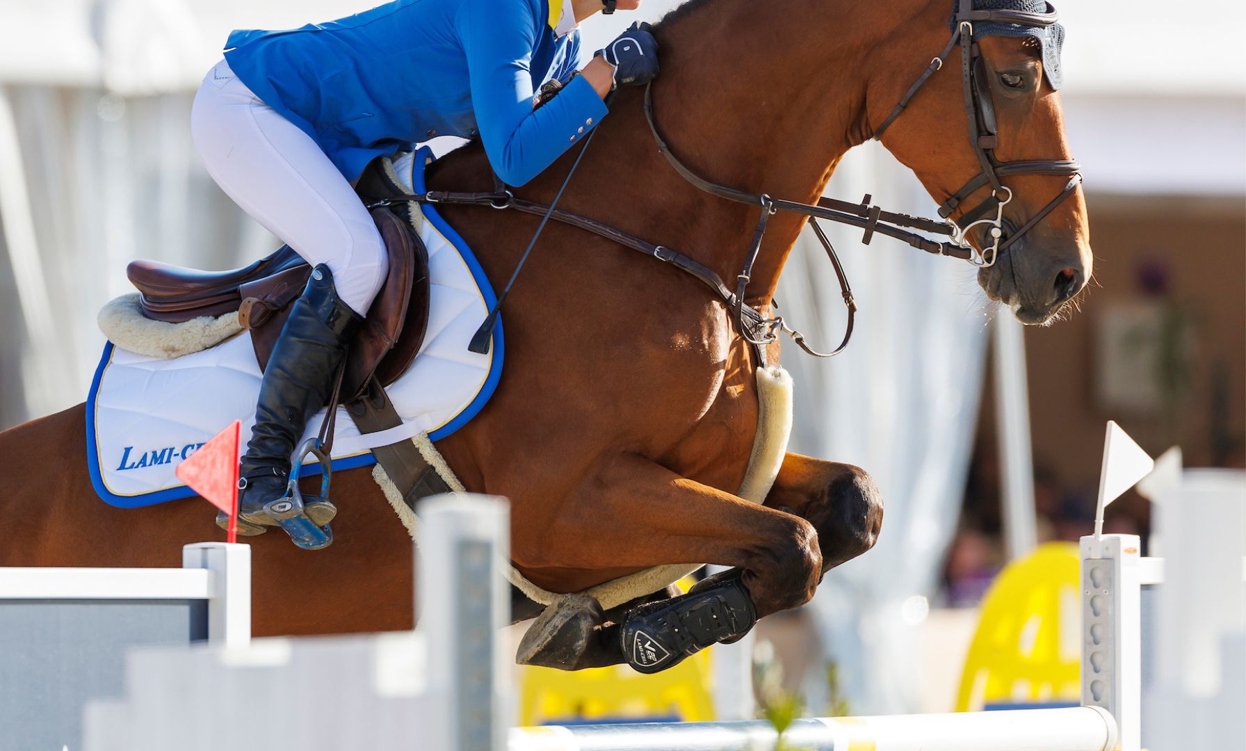 Karrington Hall and Sonsoles LS Fly to Victory 
