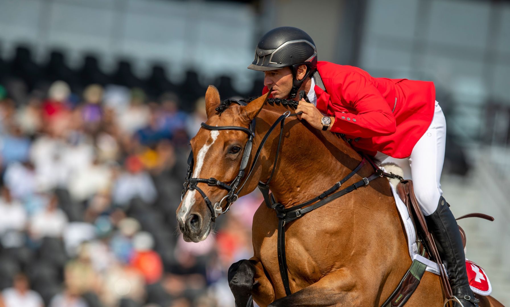 A Coruña zählt den Countdown: FEI-Europameisterschaft Springen 2025 kommt nach Galicien