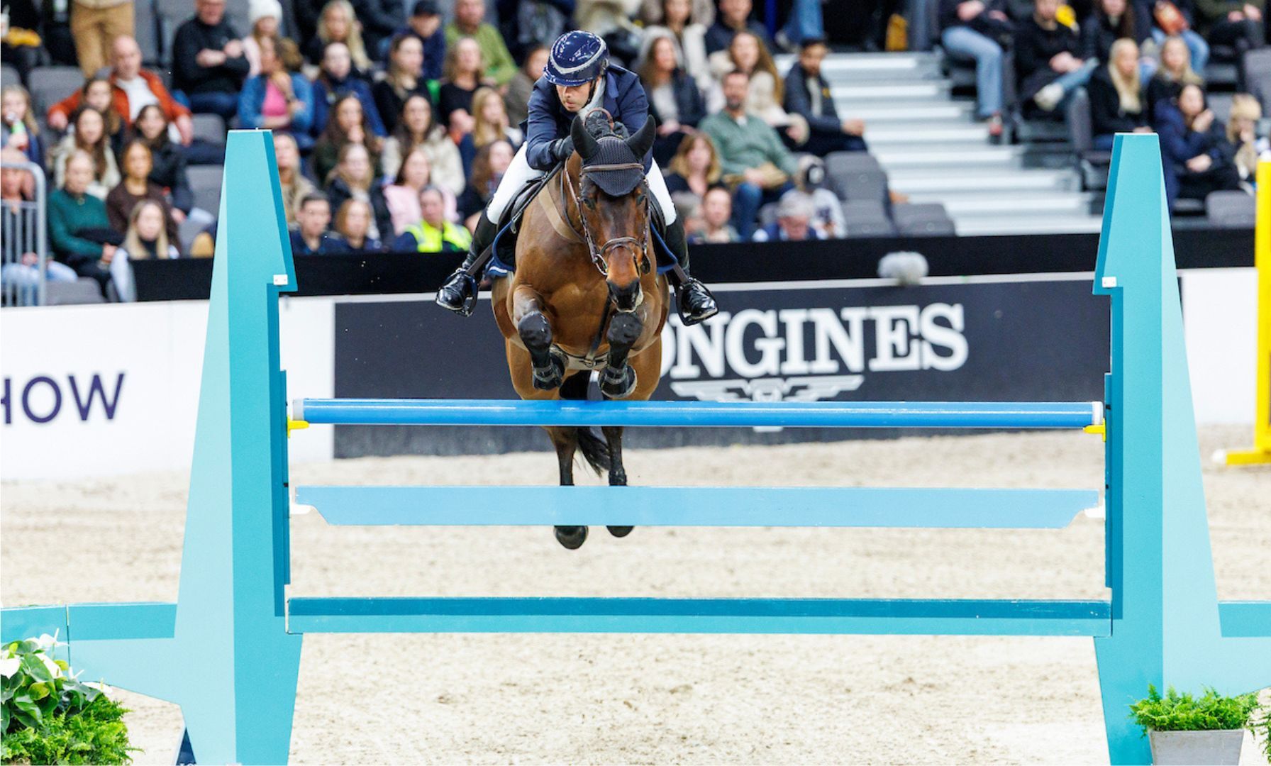 Robert Whitaker gewinnt Al Shira’aa Derby in Hickstead