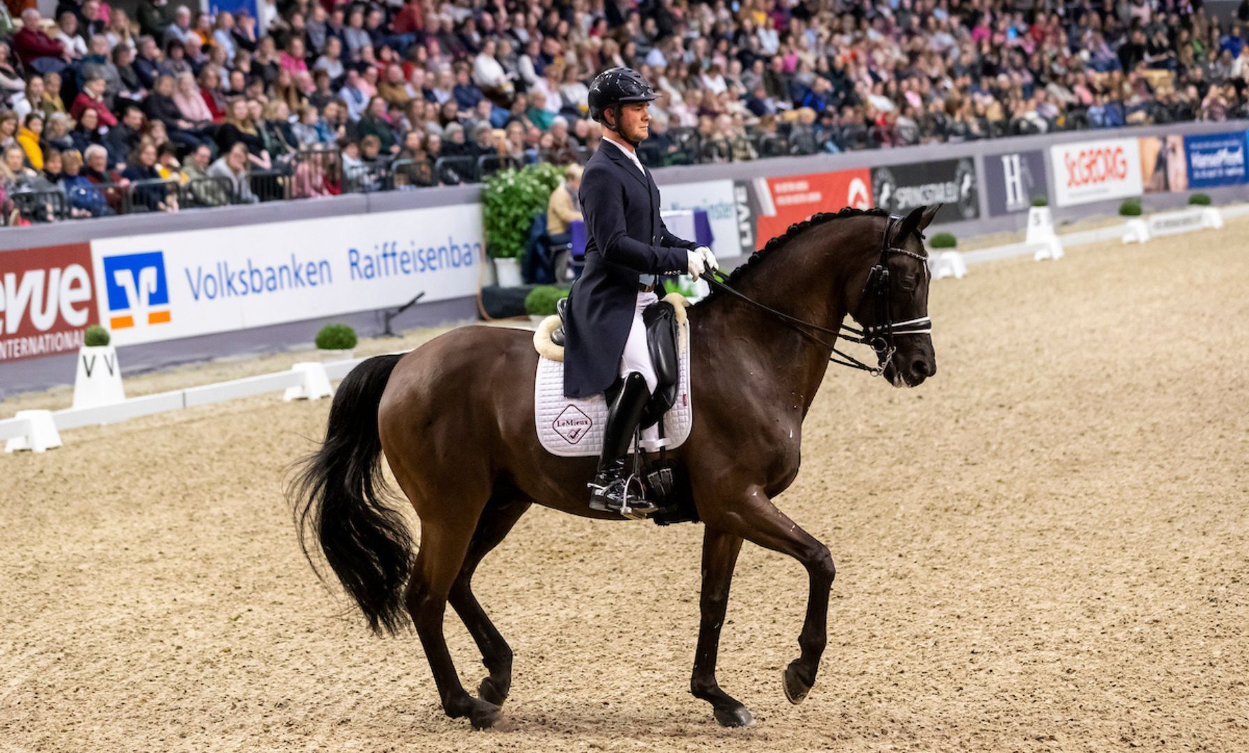 New young horse format puts confidence and partnership first