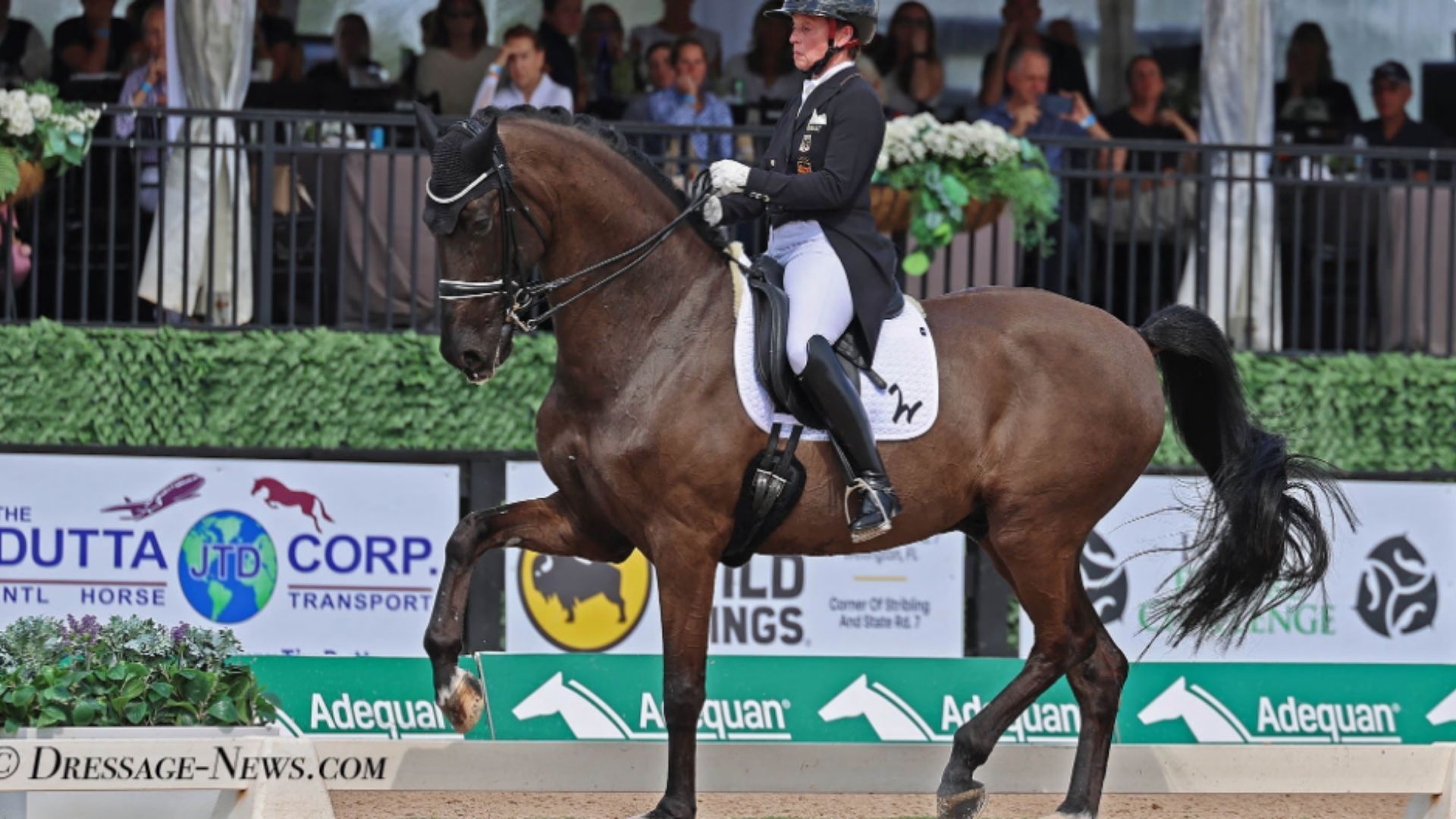 Mit drei Eisen zum Weltcup-Grand Prix Sieg: Isabell Werth und Special Blend