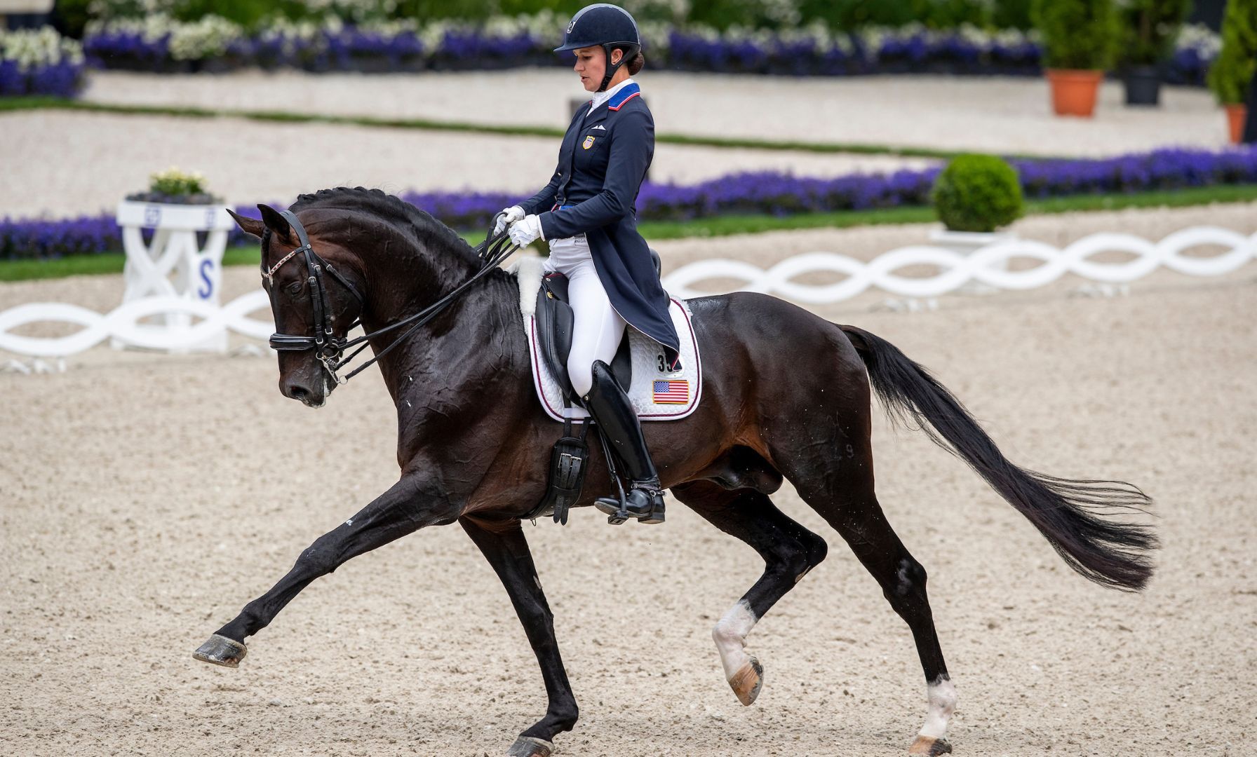 Adrienne Lyle Leads Prize Money Rankings at Global Dressage Festival