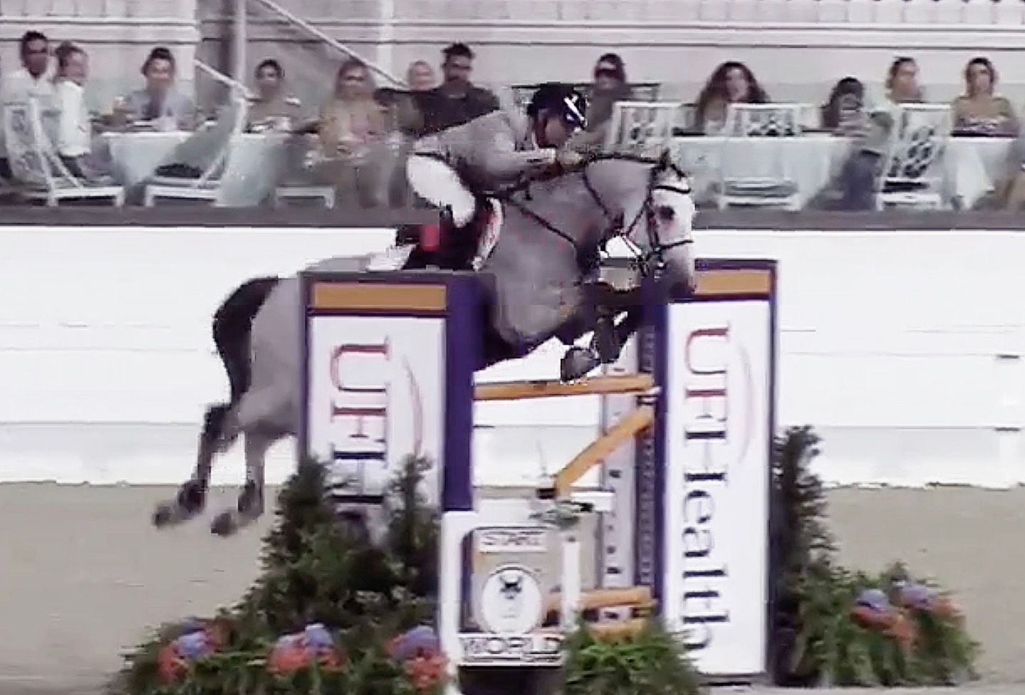 USA Team Rider Aaron Vale Wins Ocala WEC $150,000 CSI3*