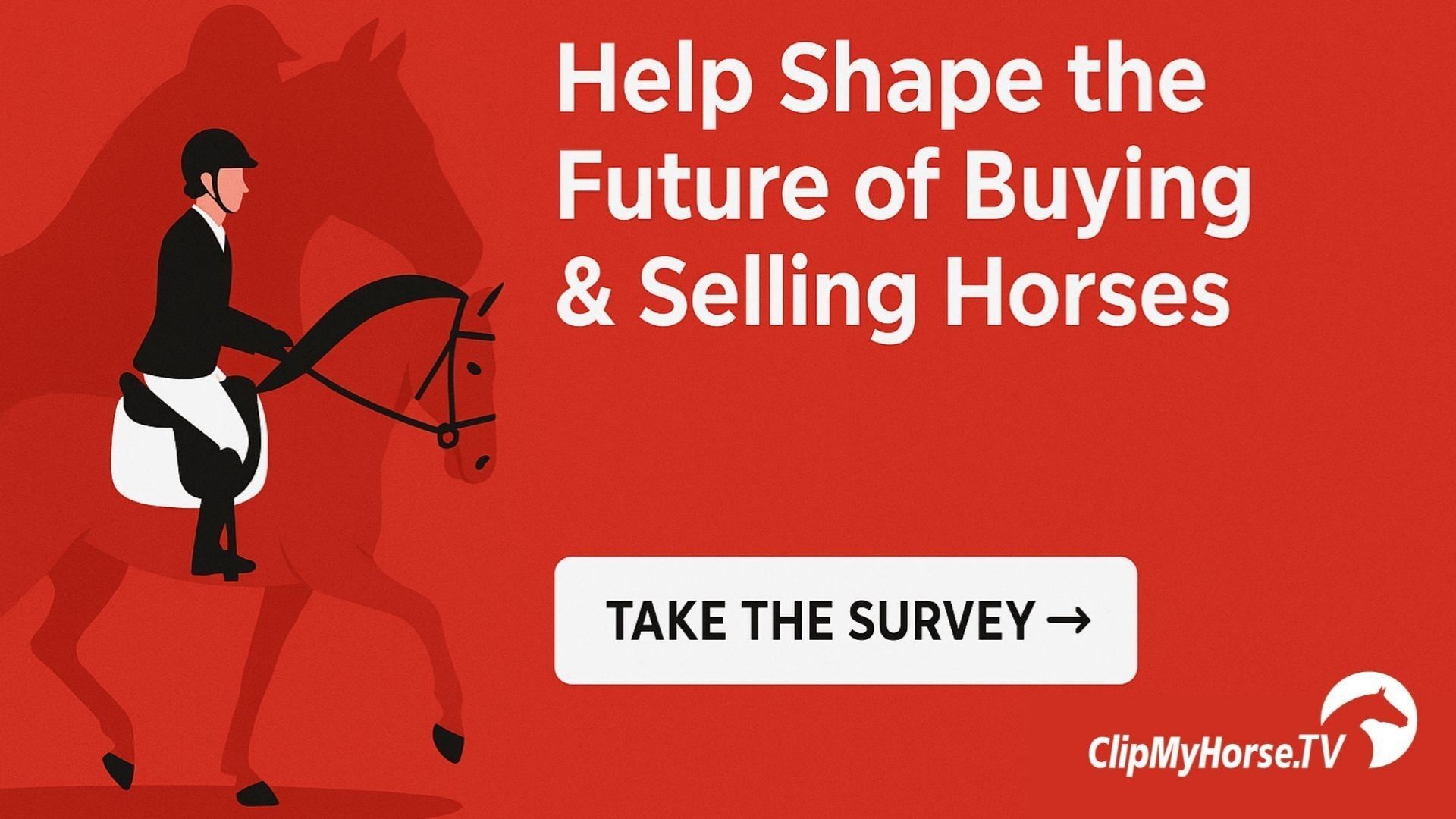 Help Us Shape the Future of Buying & Selling Horses
