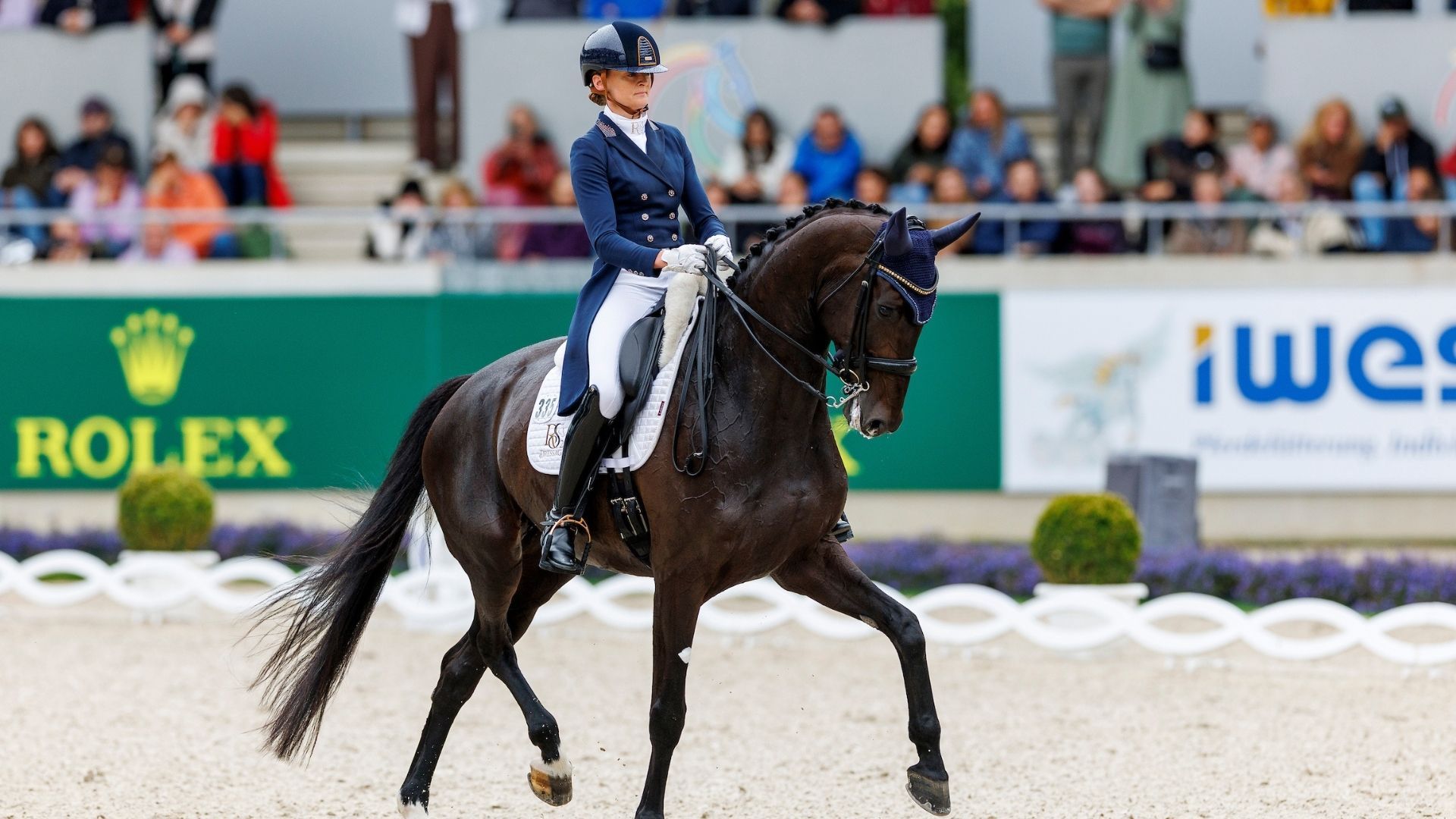 Zantana RS2 OLD und Pretty Woman van ’t Paradijs - Blickrichtung Aachen 2026