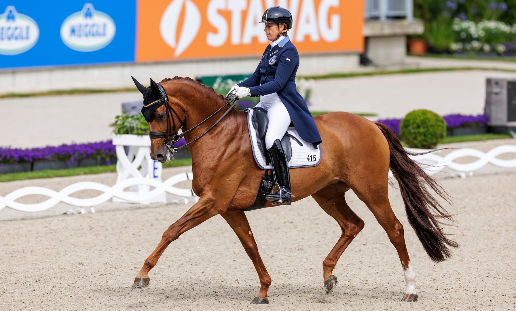 Tinne Vilhelmson-Silfven Sells Grand Prix Horse Devanto